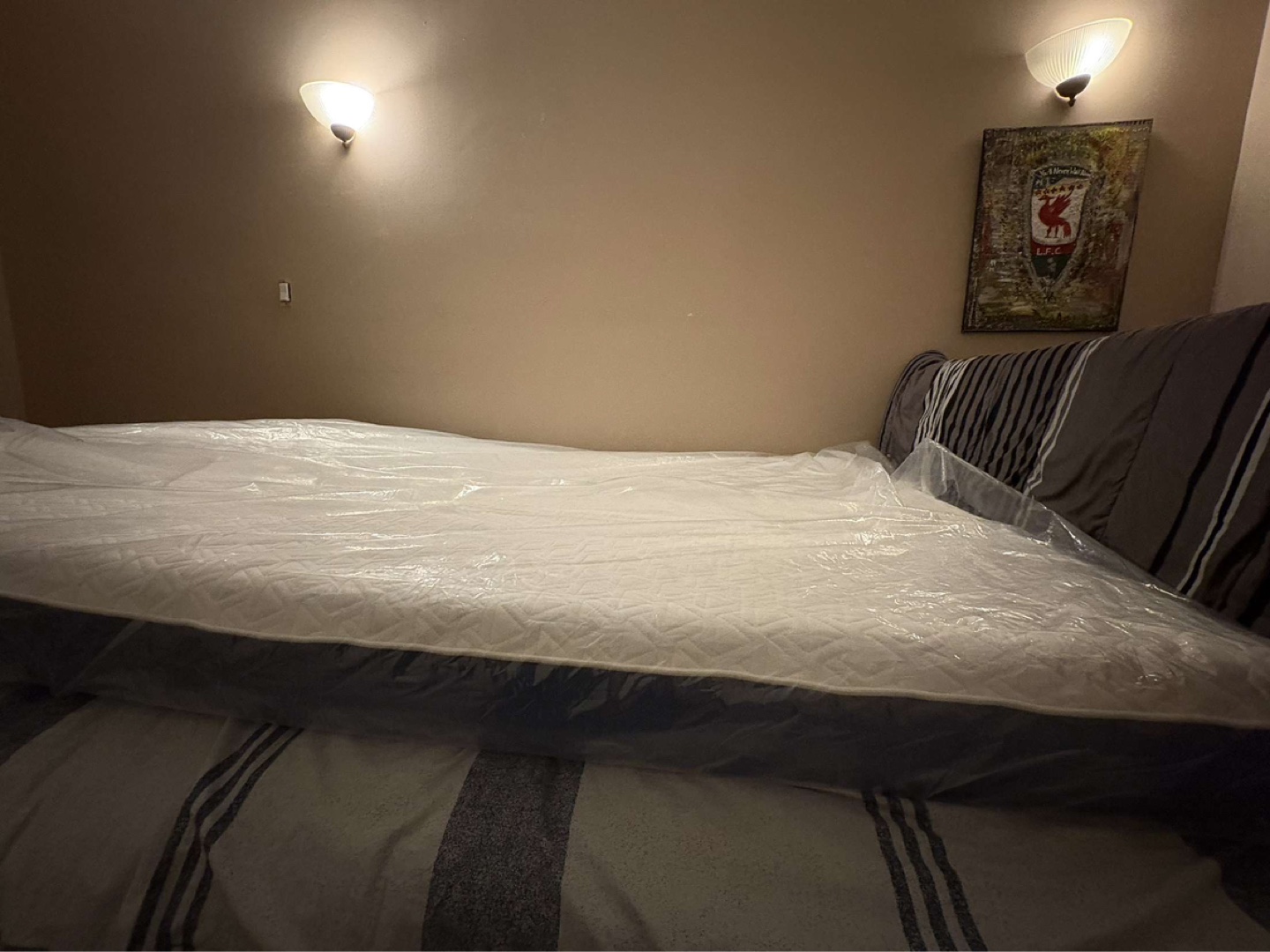 Brand New Queen Mattress
