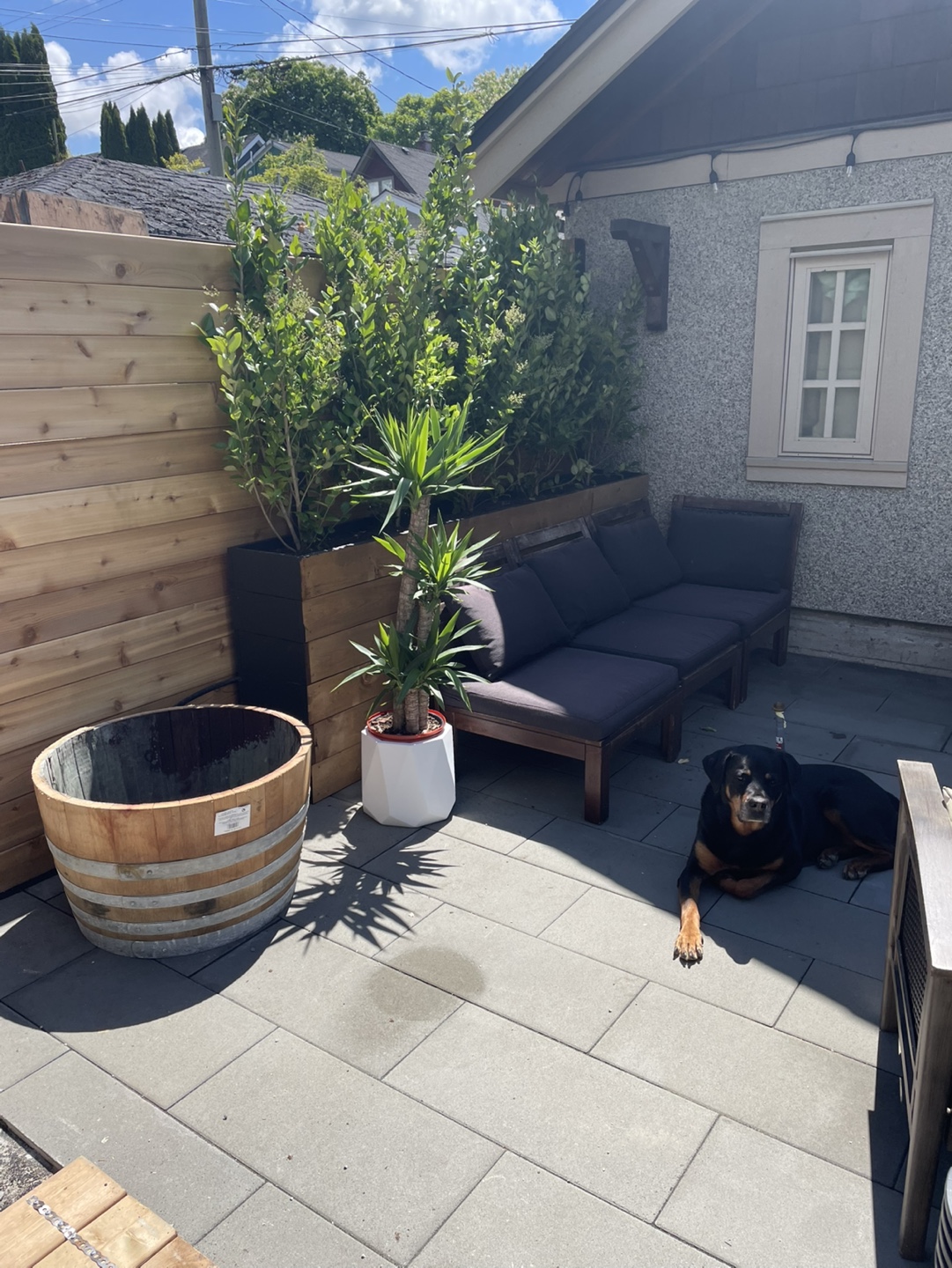 Patio Furniture - photo 5
