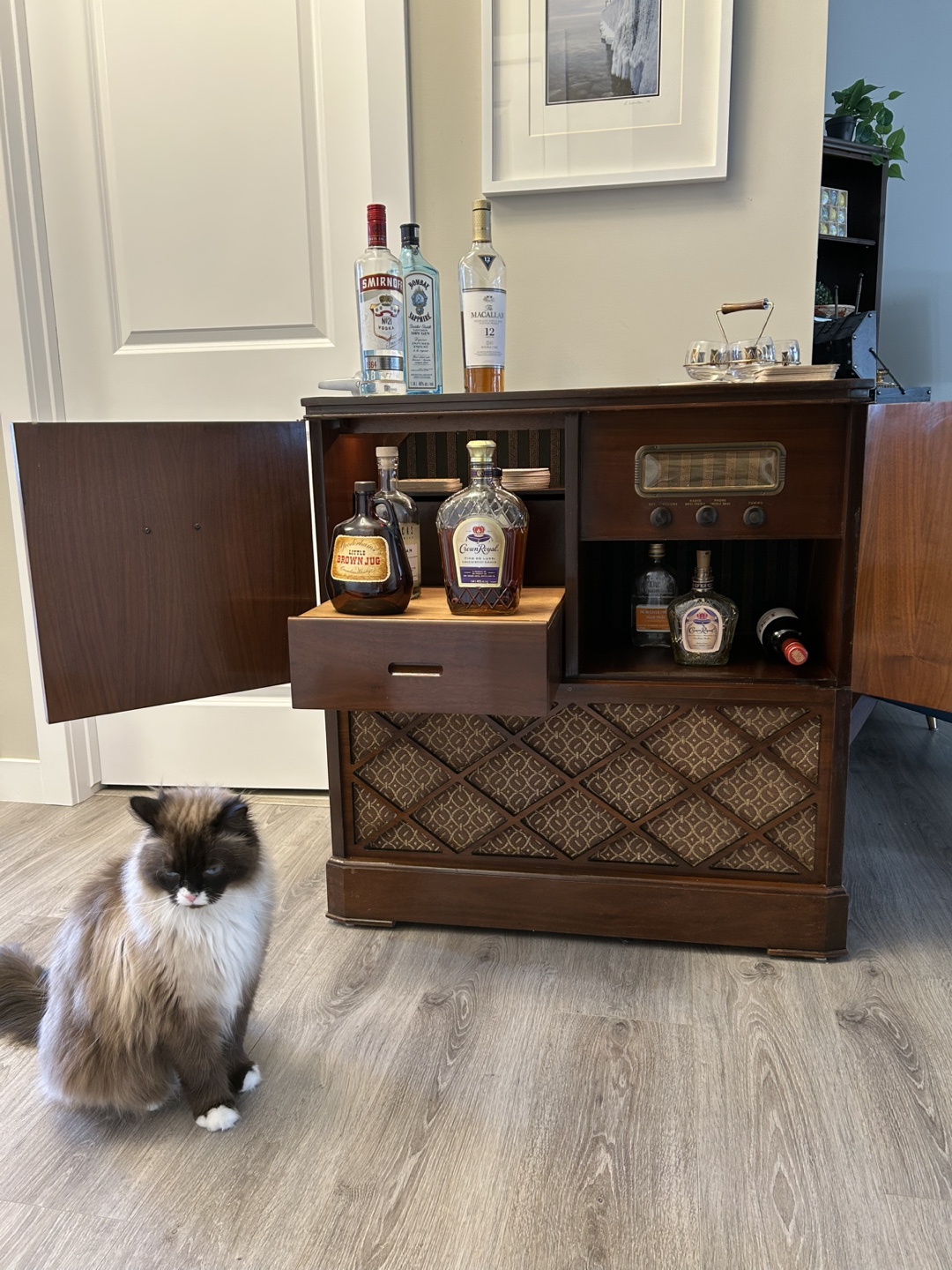 Vintage General Electric 1950s Bar Cabinet with Radio