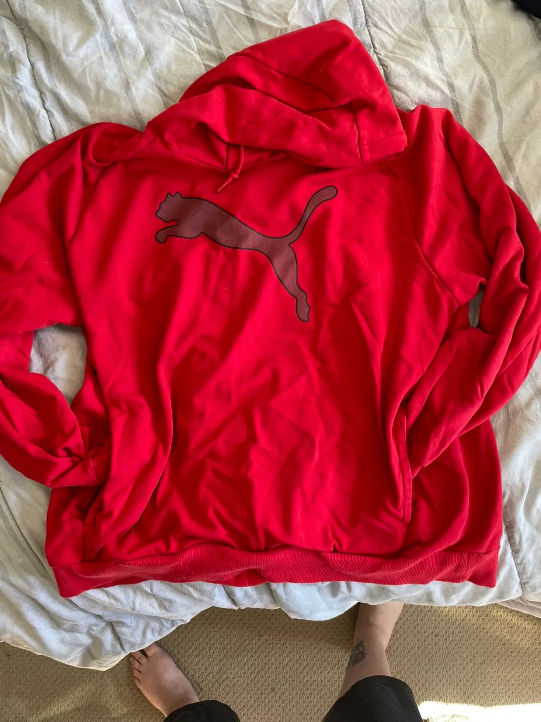 Men’s Puma Hoodie thumbnail