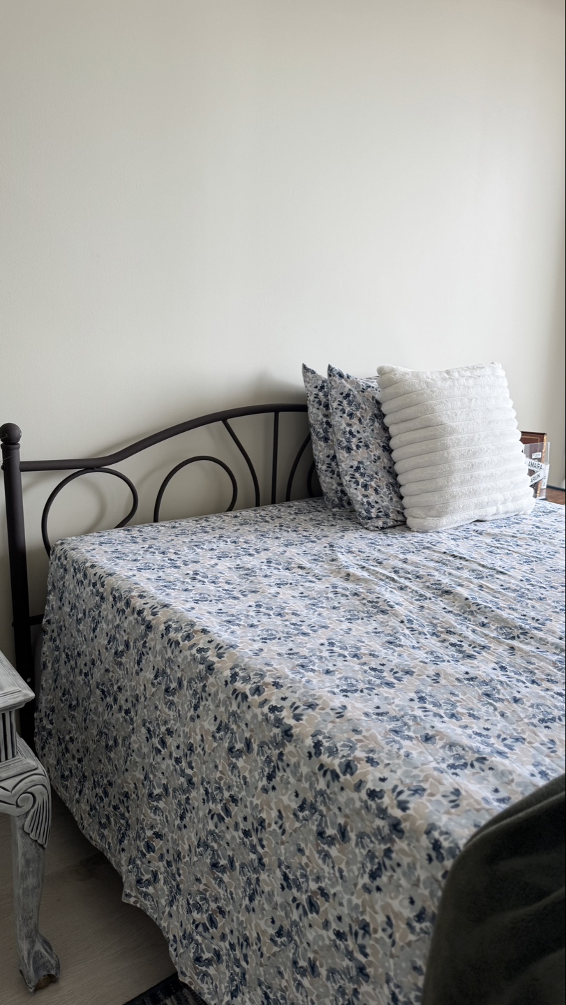 Metal Queen Bed Frame
