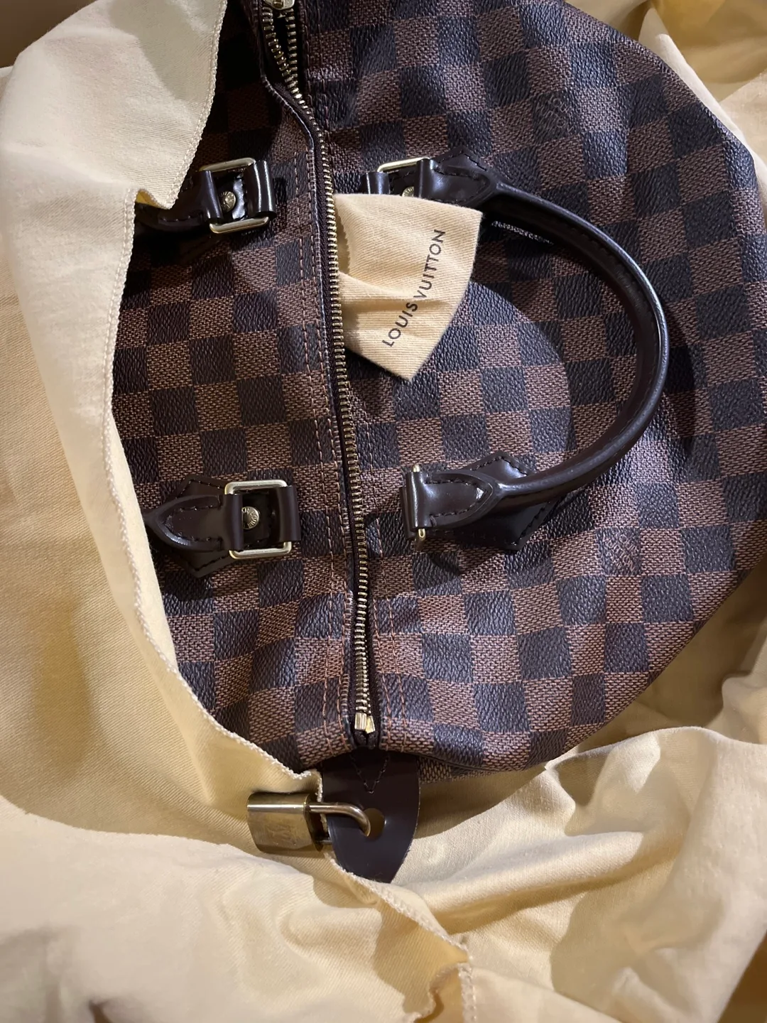 Authentic Louis Vuitton Speedy 30 Damier Ebene handbag image indicator(5)