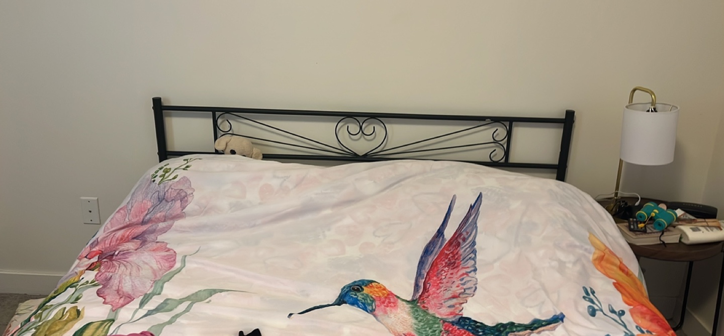 Black Metal Double Bed Frame