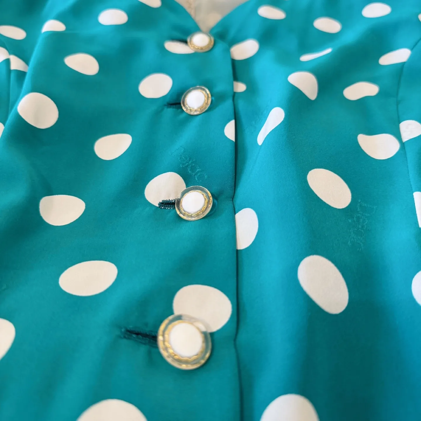 Vintage Polka Dot Button-Up Dress image indicator(4)