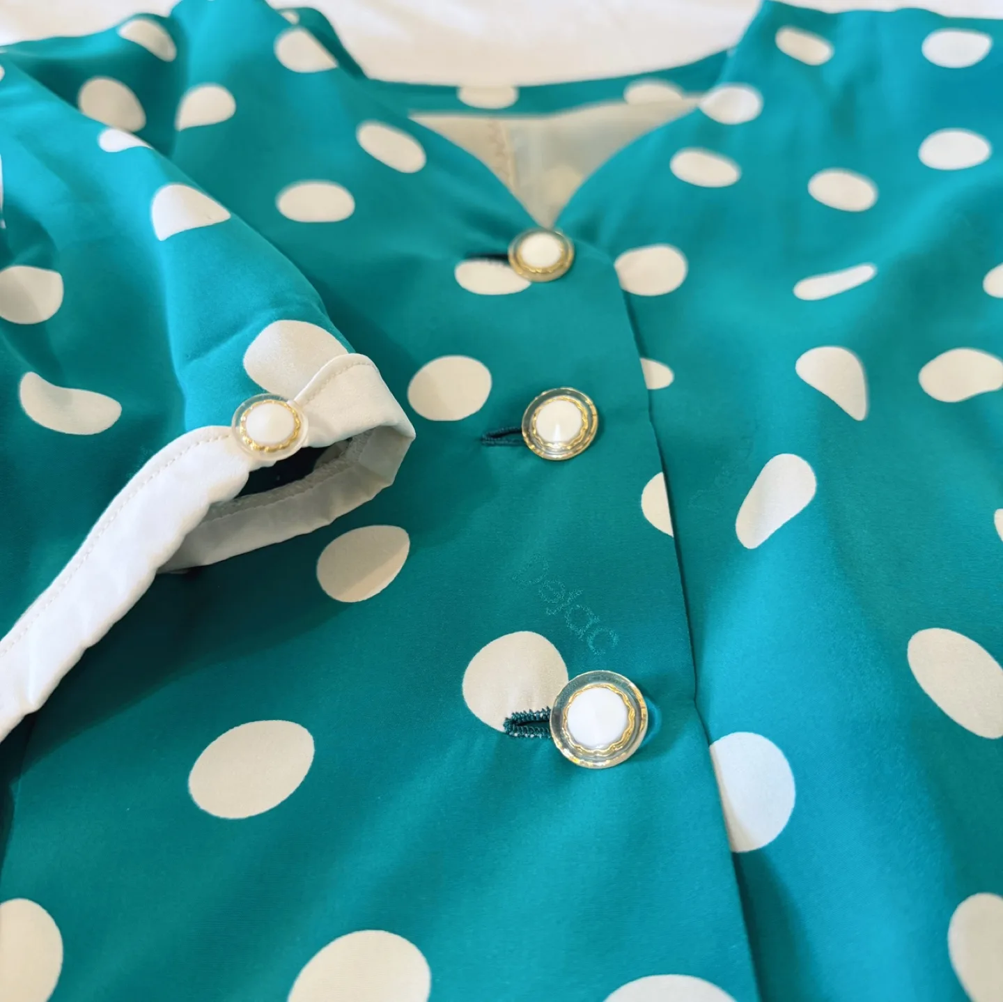 Vintage Polka Dot Button-Up Dress image indicator(3)