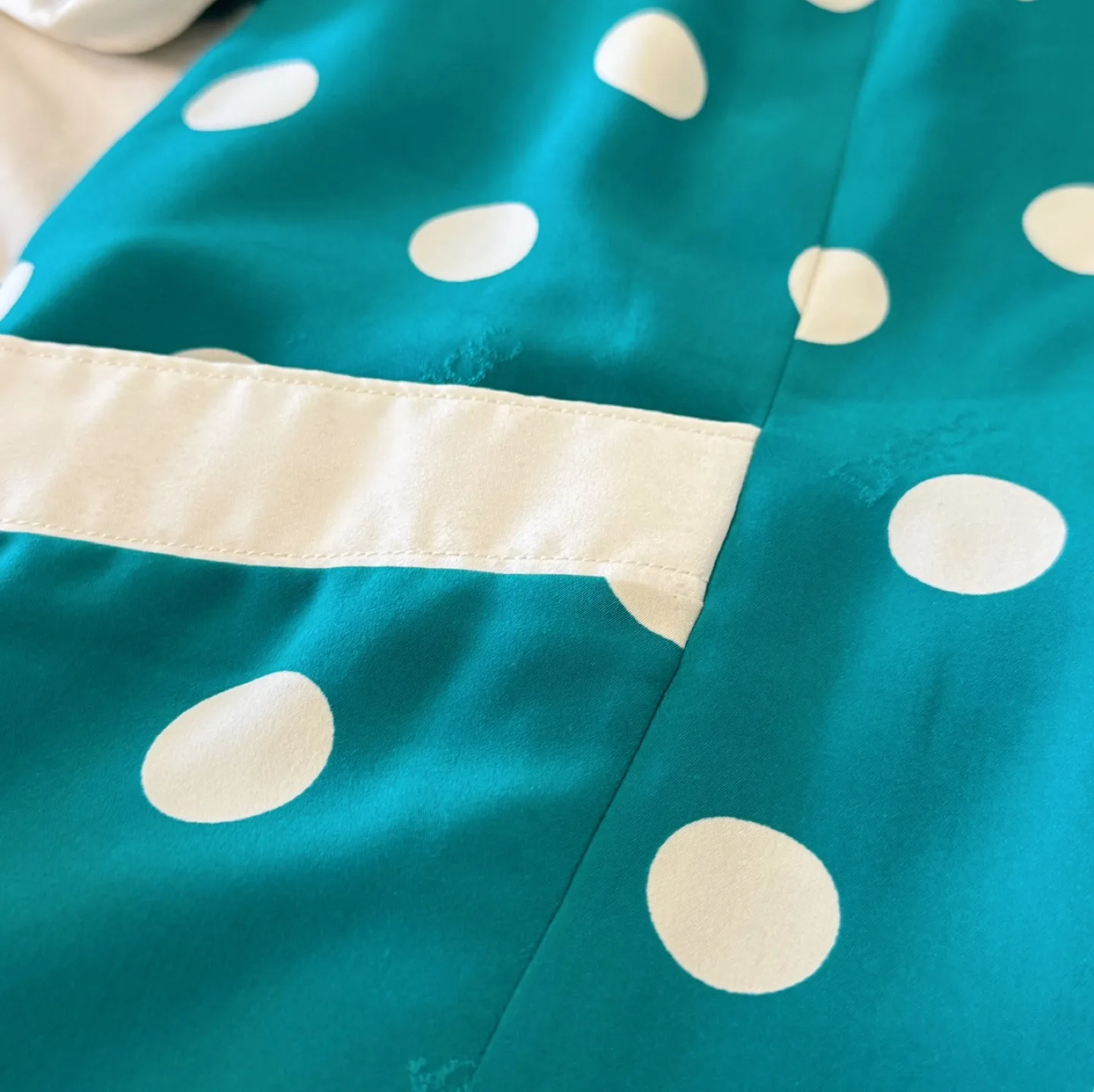 Vintage Polka Dot Button-Up Dress image indicator(5)