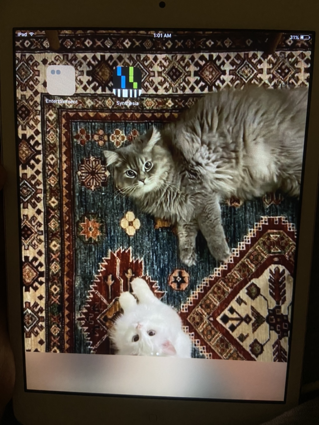Used iPad - photo 3