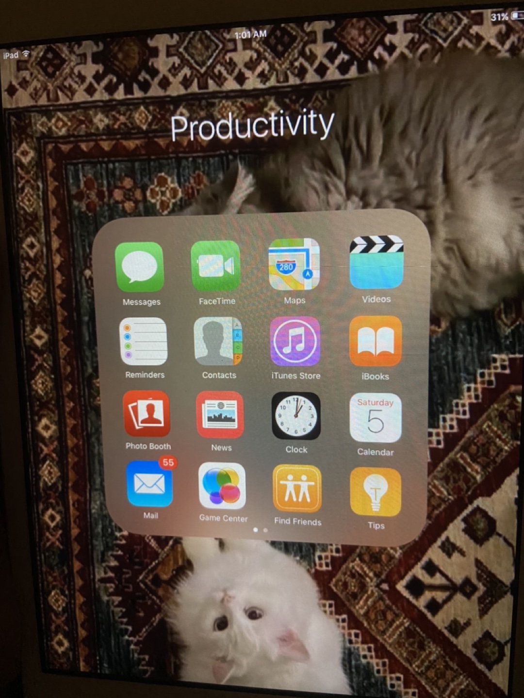 Used iPad - photo 5