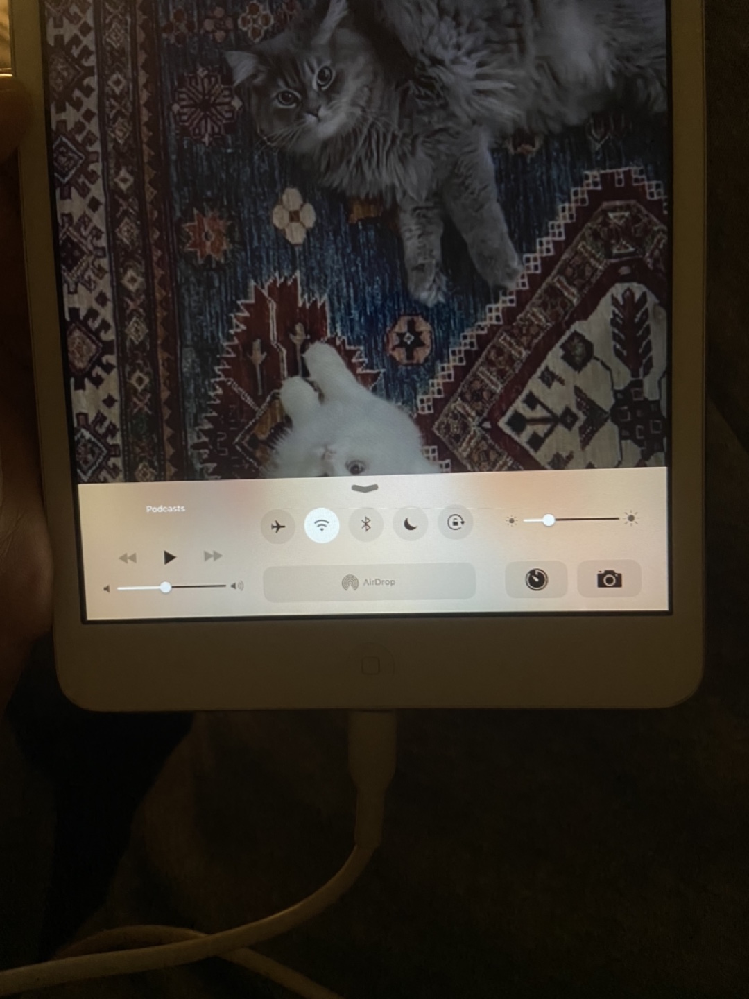 Used iPad - photo 4