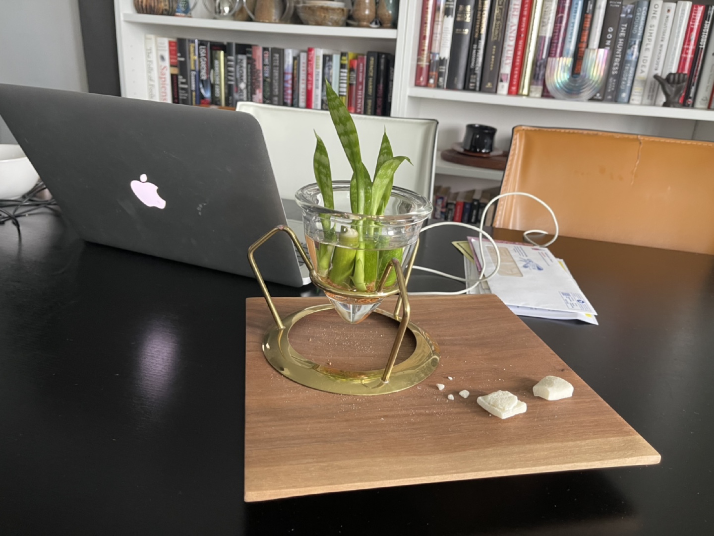 Hydroponic Planter with Brass Stand - photo 2
