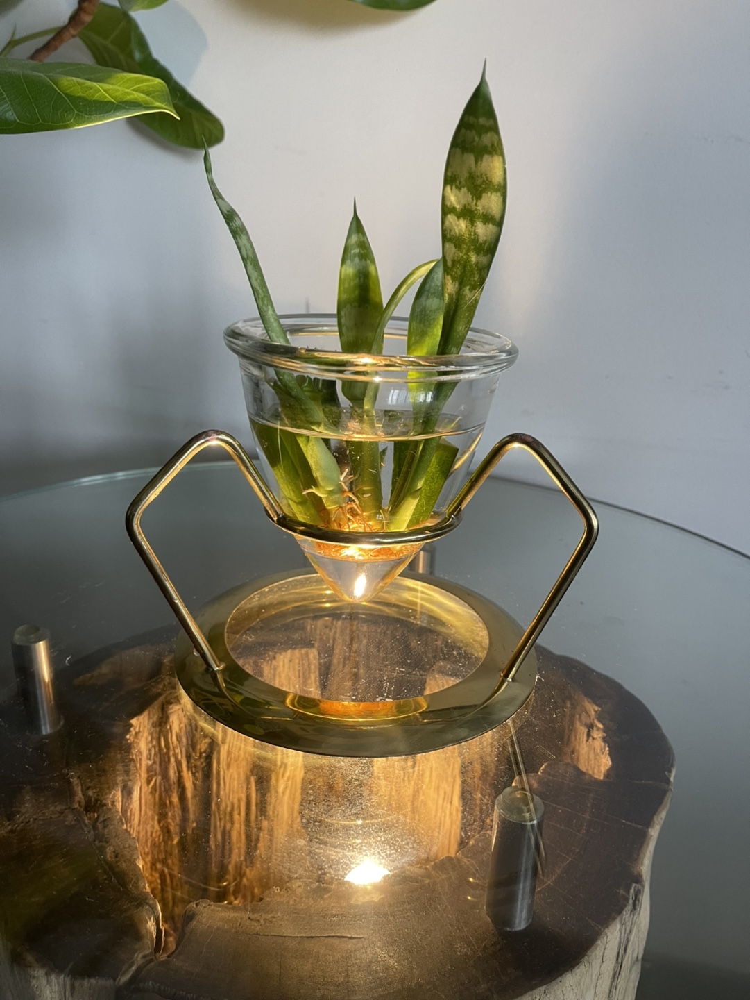 Hydroponic Planter with Brass Stand