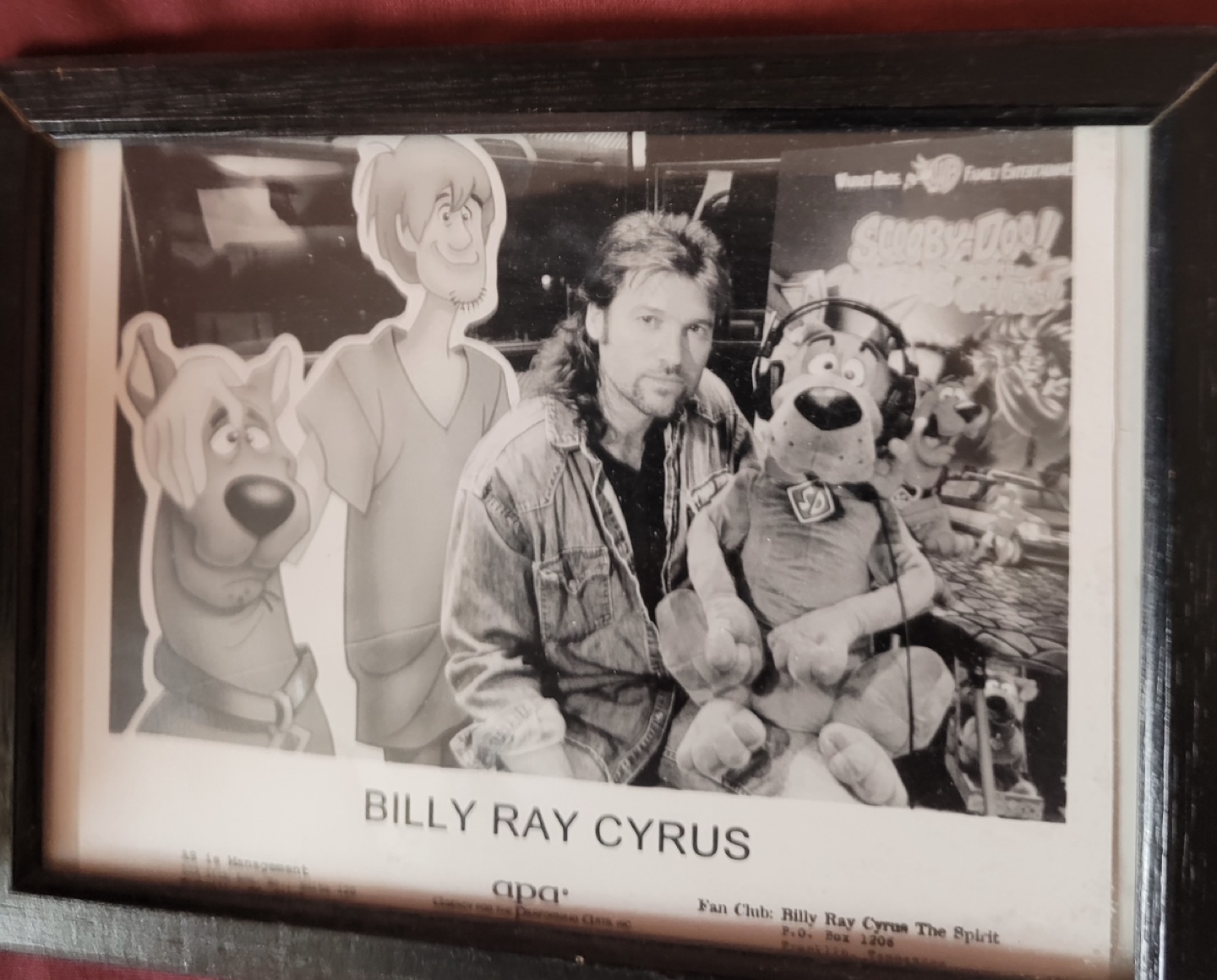 Framed Billy Ray Cyrus & Scooby-Doo Photo