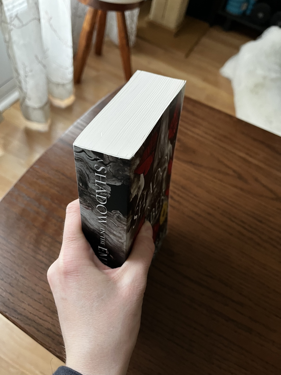 A Shadow in the Ember Special Edition Paperback Book - photo 2