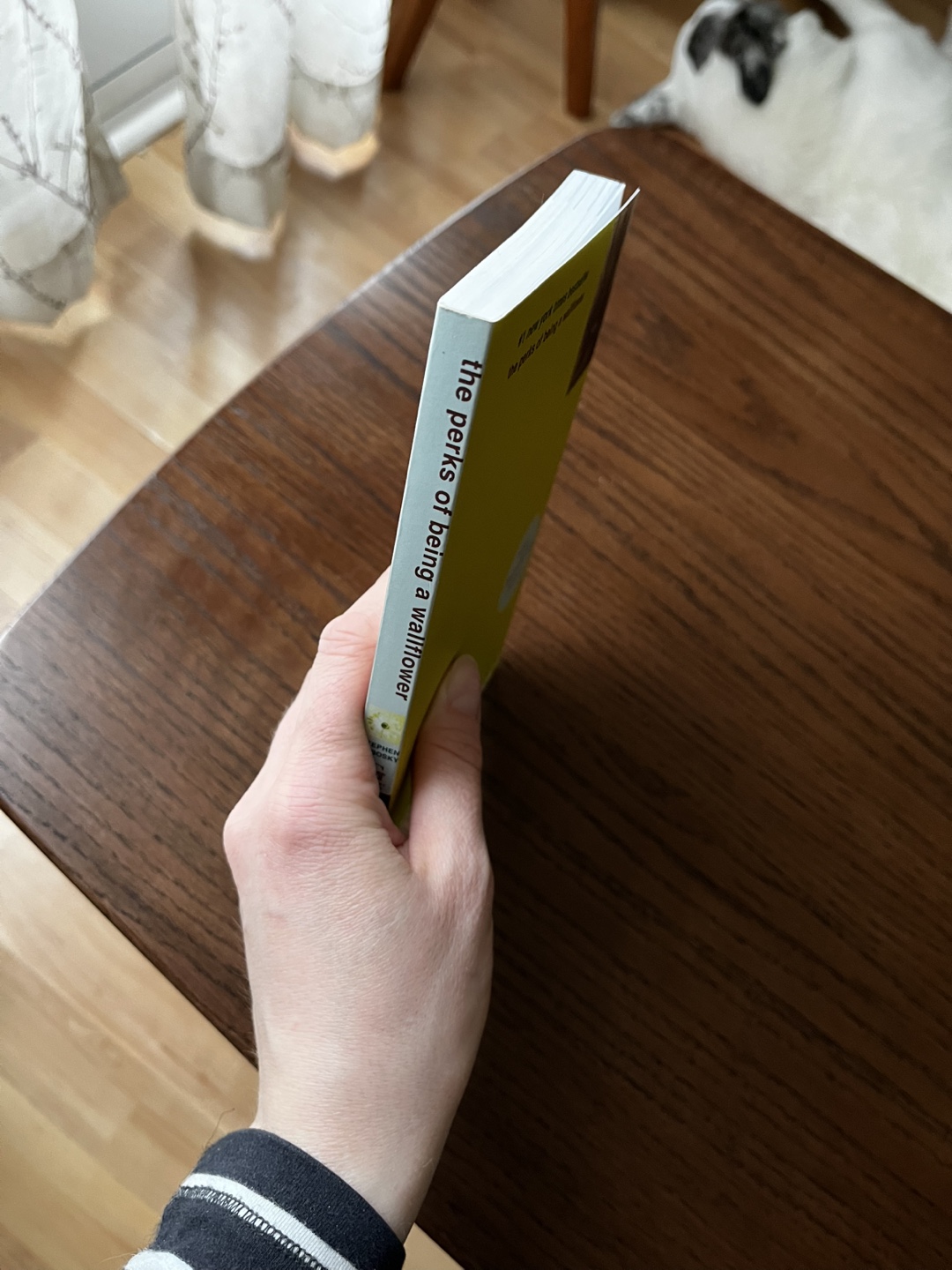 The Perks of Being a Wallflower by Stephen Chbosky - photo 2