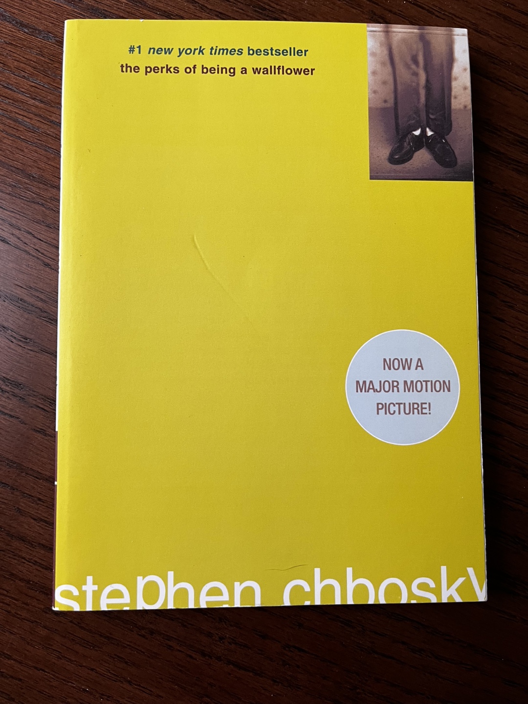The Perks of Being a Wallflower by Stephen Chbosky