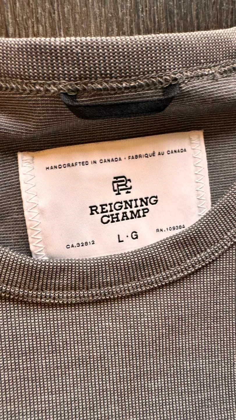 Reigning Champ Polartec Delta T-shirt image indicator(2)