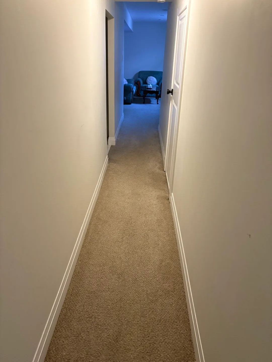 Basement Apartment Rental image indicator(4)