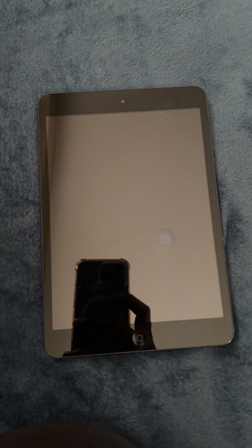iPad Mini 2 - Space Grey