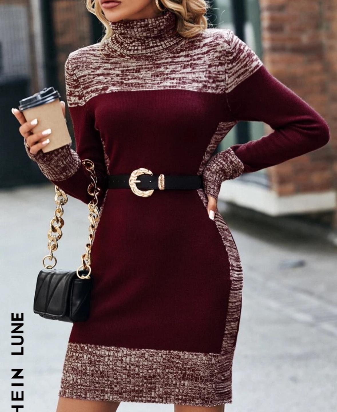 Women's Burgundy and Cream Knit Turtleneck Sweater Dress