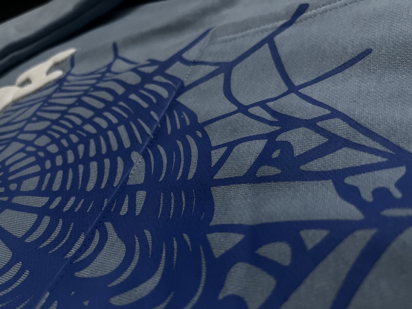 Sp5der Web Hoodie (Sky Blue - photo 3