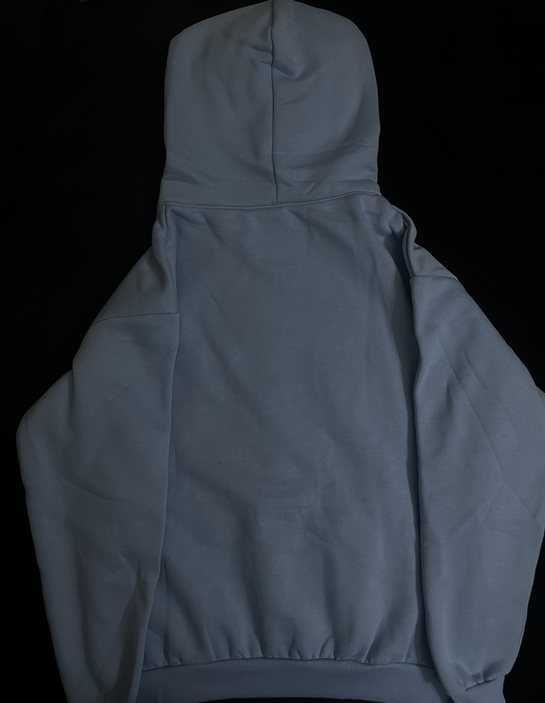 Sp5der Web Hoodie (Sky Blue - photo 2