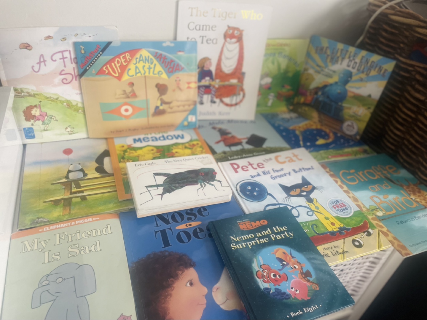 Bundle of 12 Children's Board Books