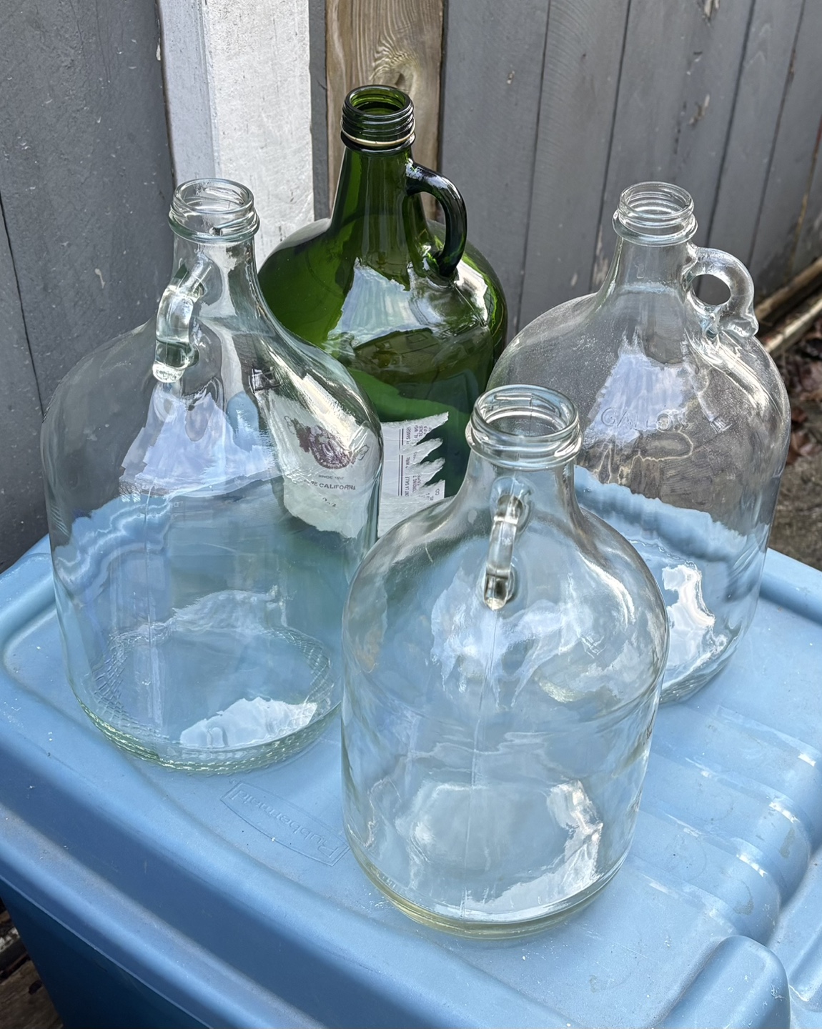 1 Gallon Carboys X 4