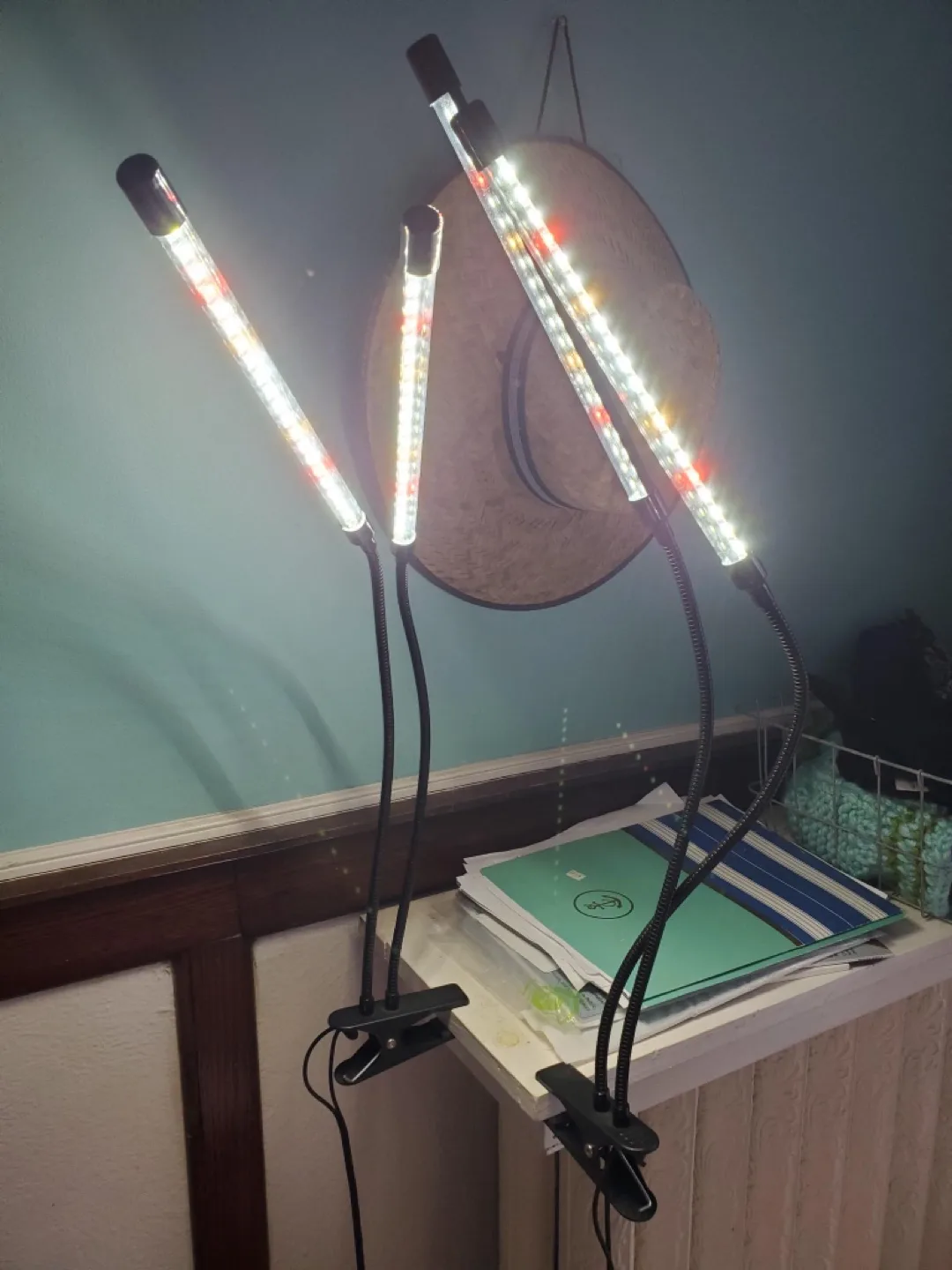 <Moving sale> Full spectrum grow light thumbnail