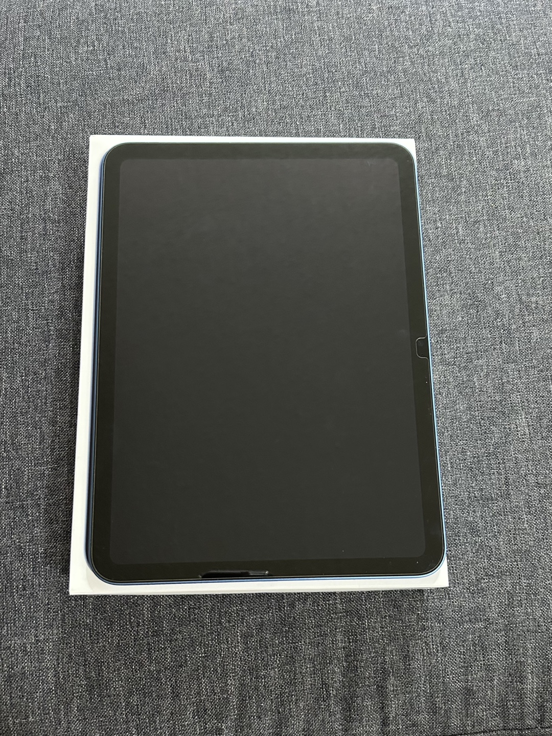 iPad 10th Generation - 256 GB - Blue - photo 4
