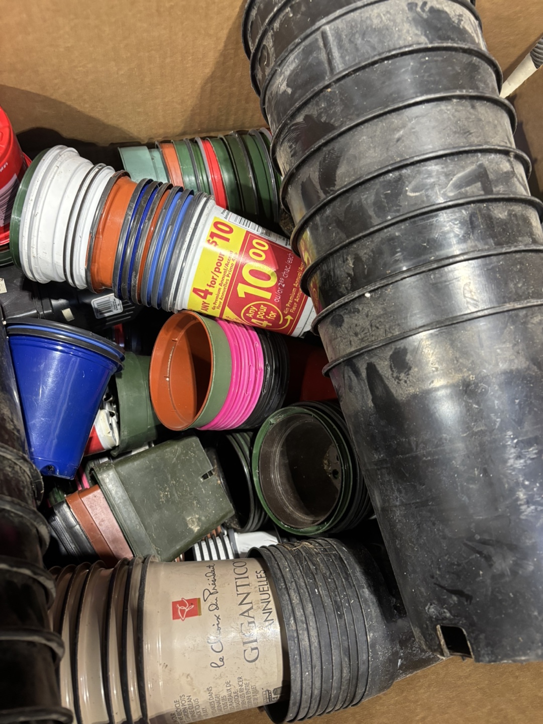 Bulk Lot of nursery Plant Pots - variety of sizes - photo 2