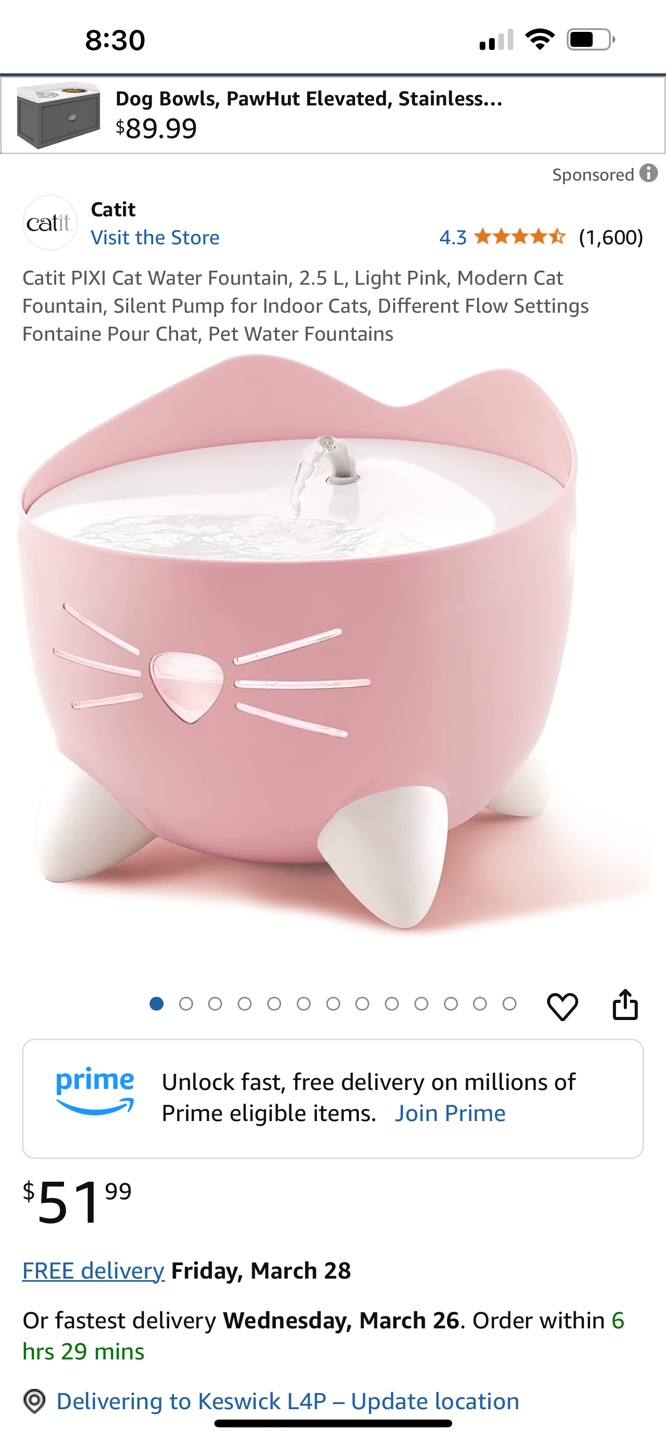 Catit PIXI Cat Water Fountain - Light Pink