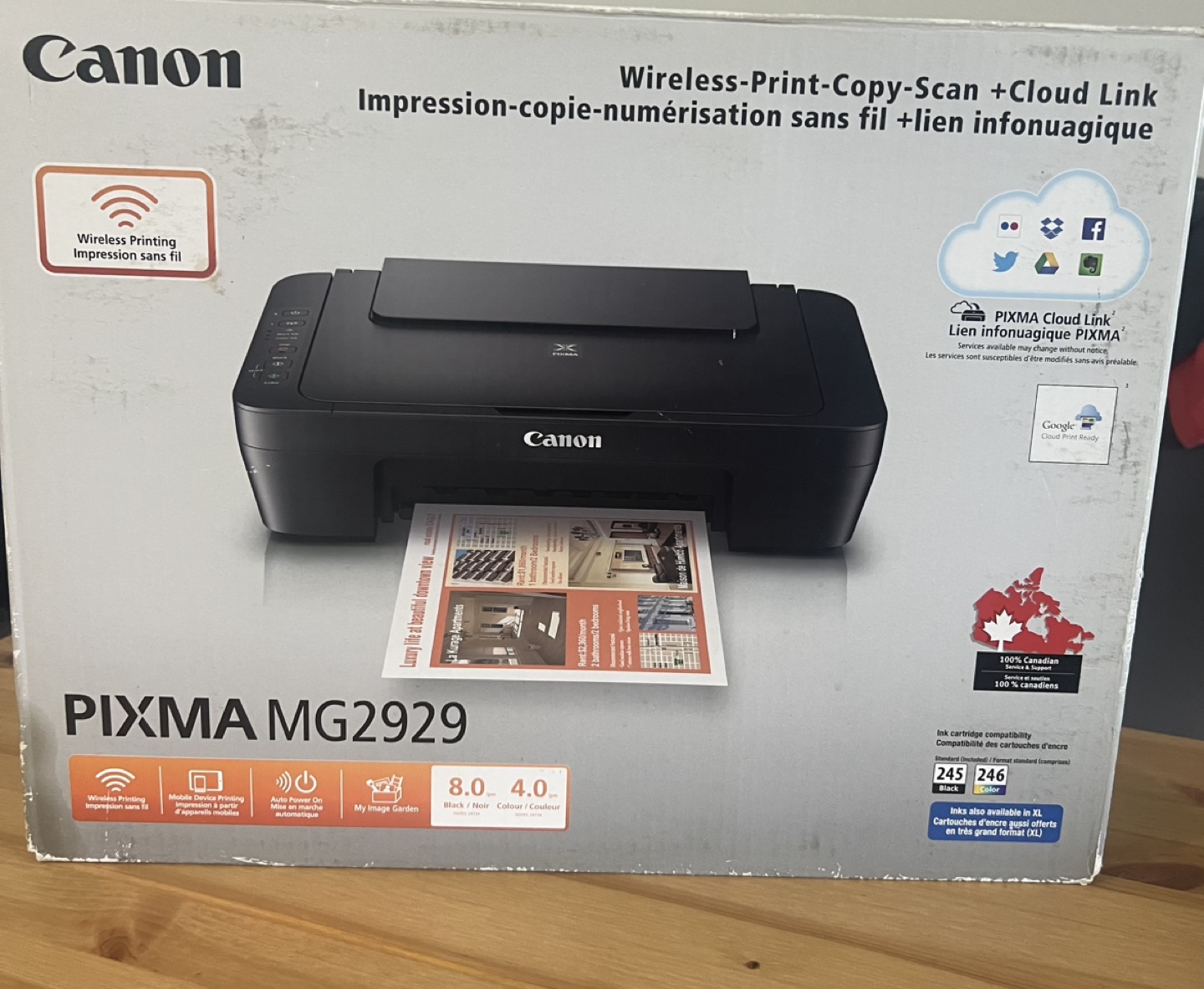 Canon PIXMA MG2929 Wireless Printer