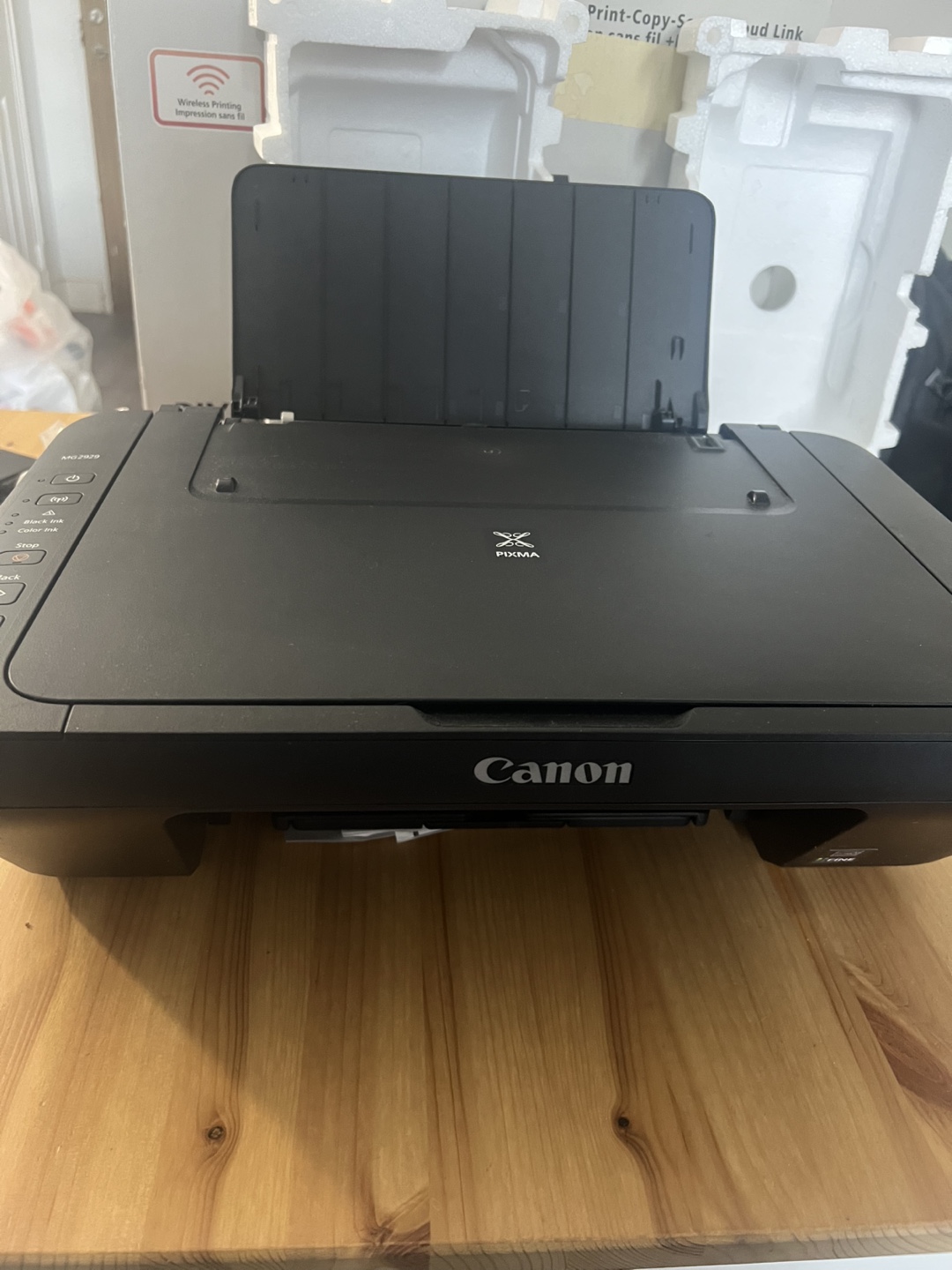 Canon PIXMA MG2929 Wireless Printer - photo 2