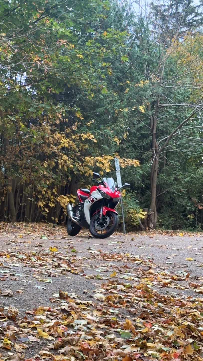 Mint 2015 Yamaha R3 - photo 4