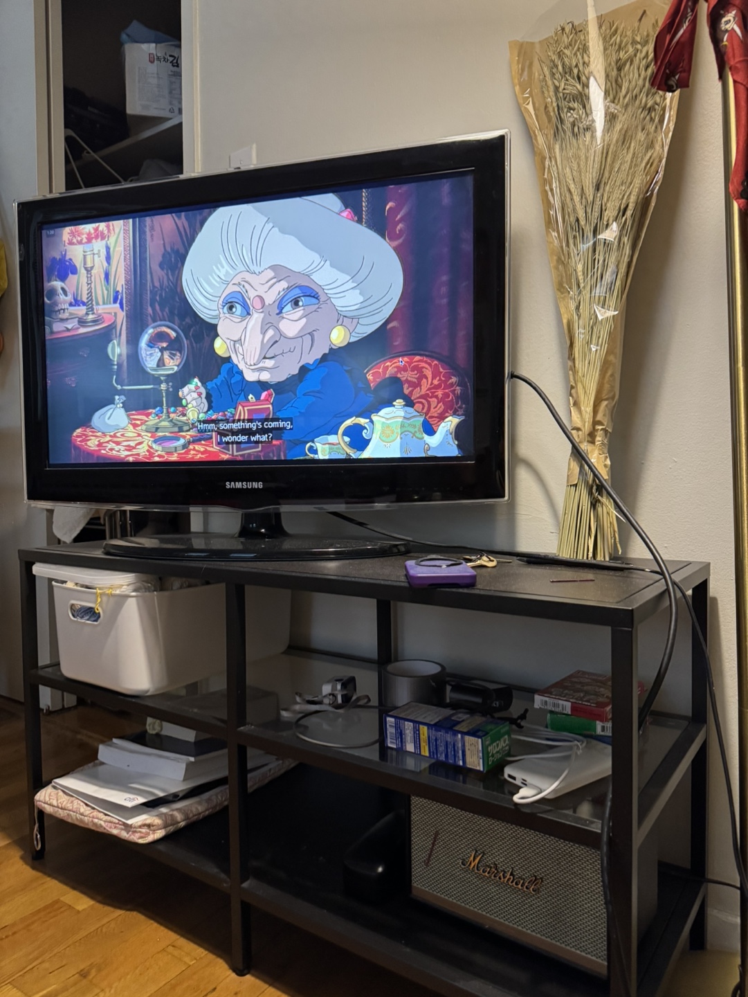 Samsung TV, Stand