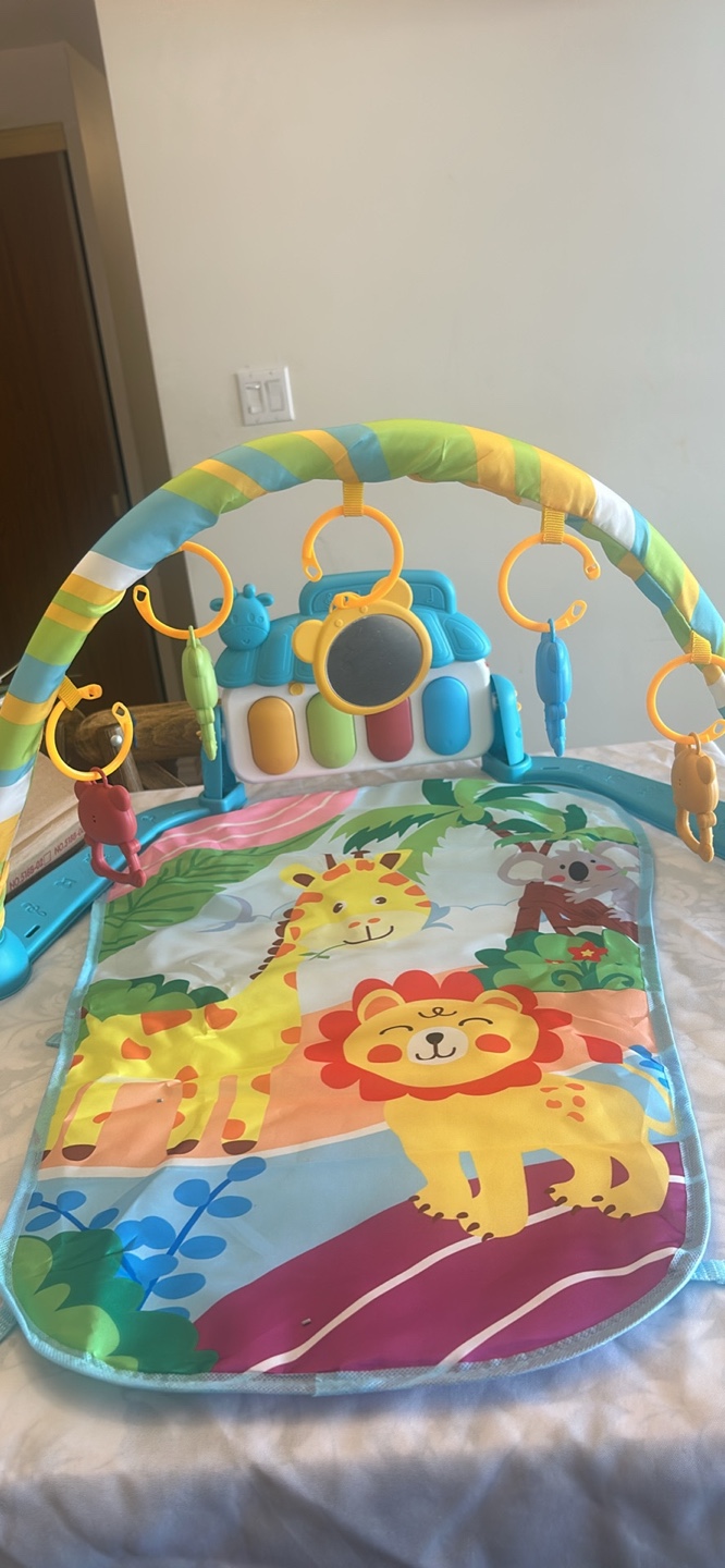 Baby Playmat with Activity Arch