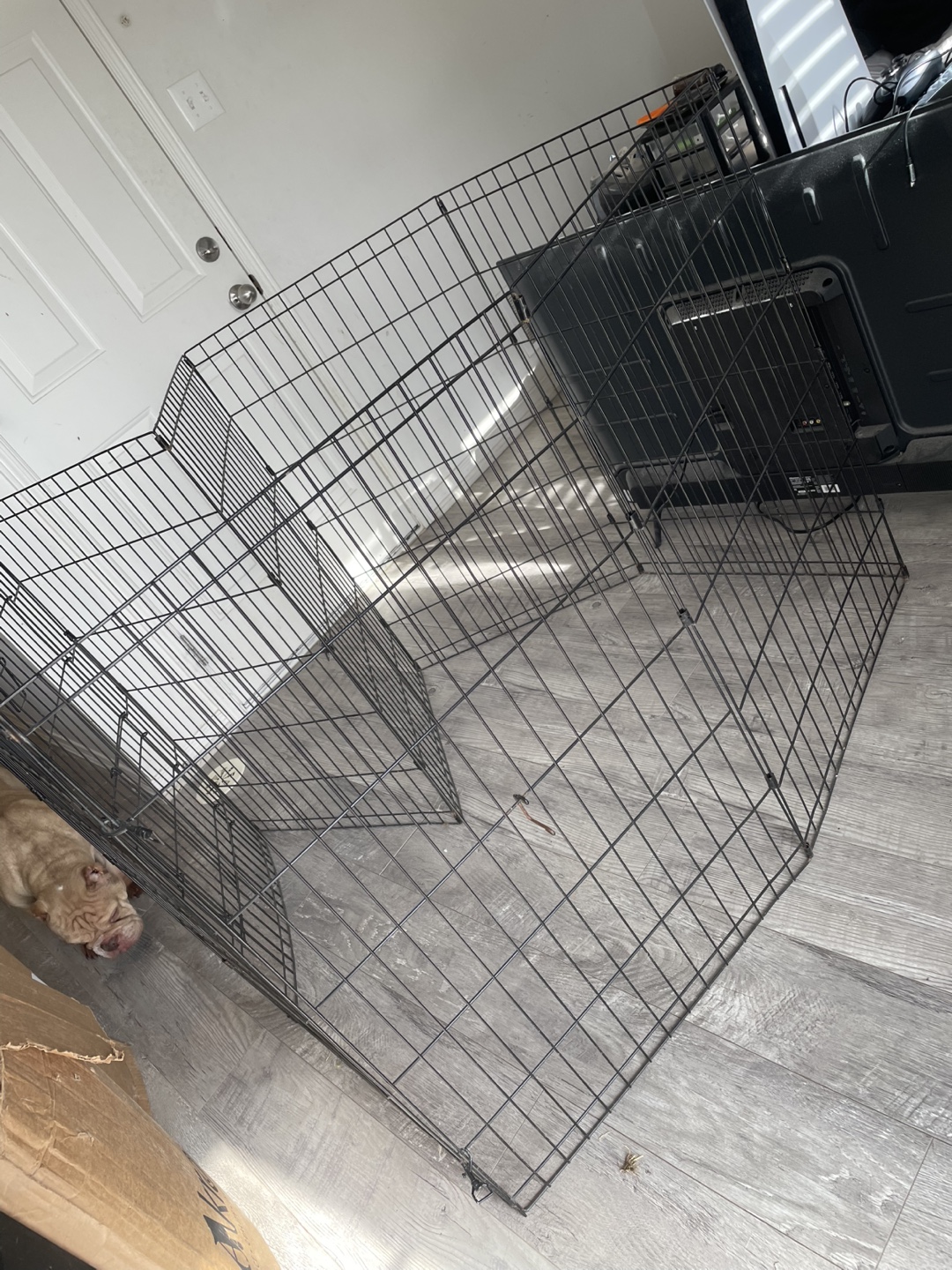 Top Paw Exercise Pen - photo 3