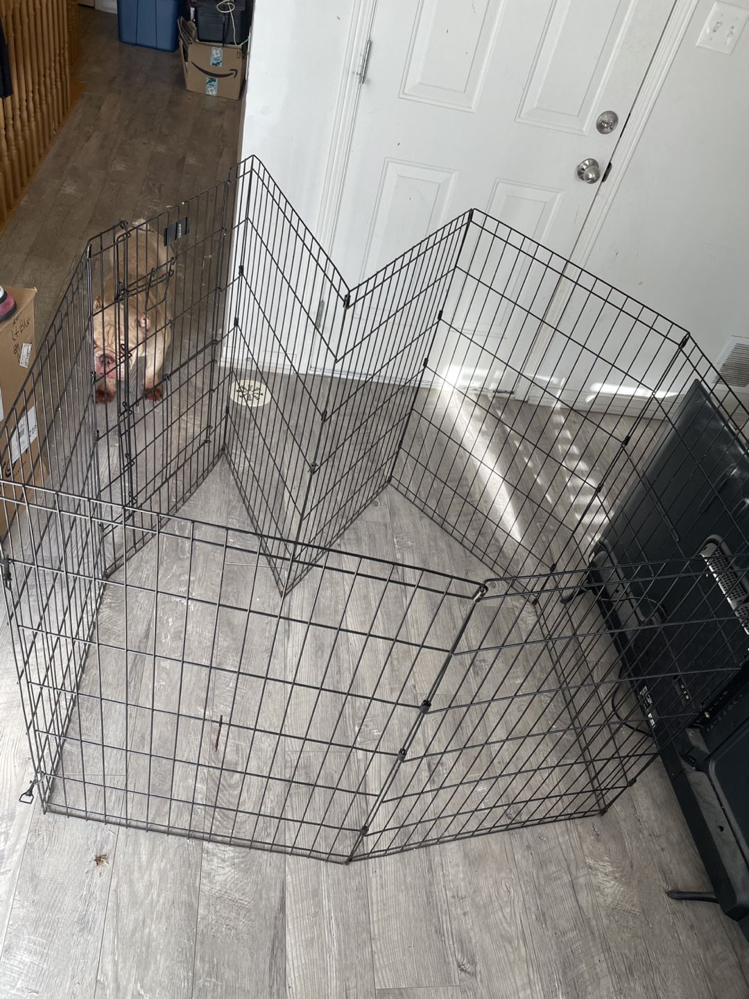 Top Paw Exercise Pen - photo 2