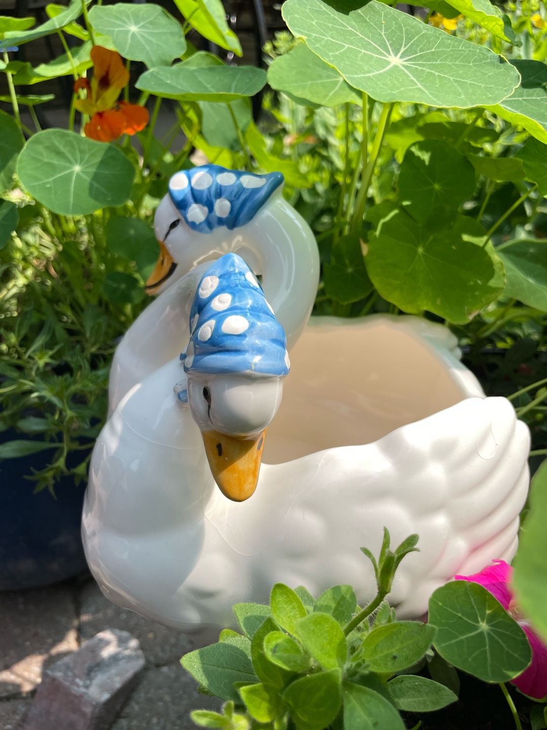 💚Adorable Swan Planter