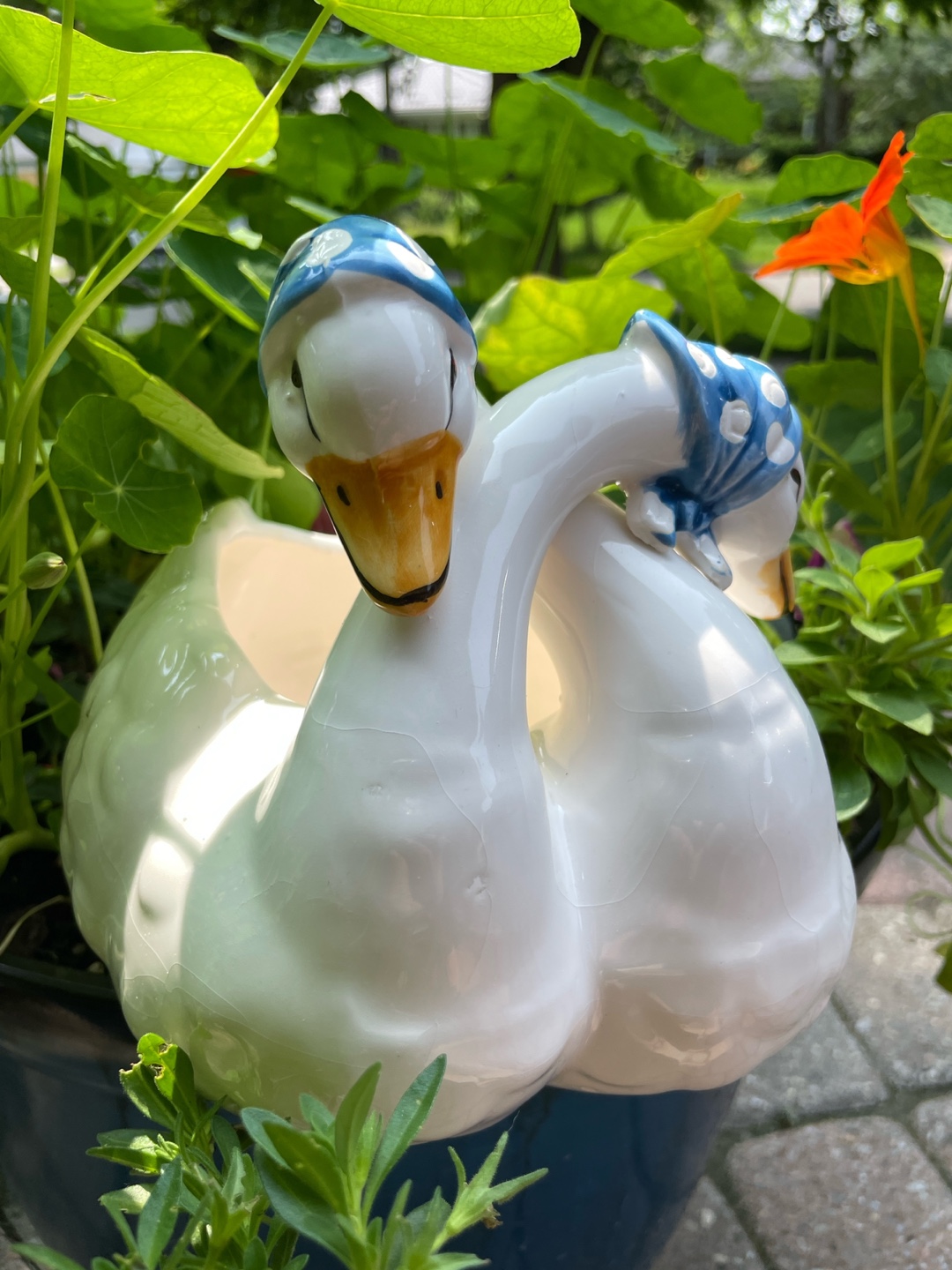 💚Adorable Swan Planter - photo 2