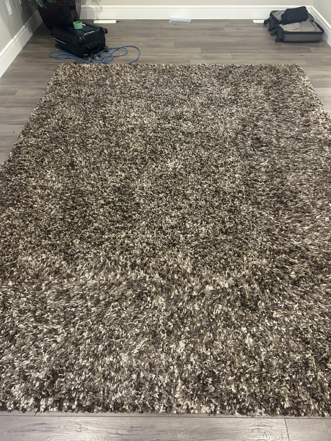 Large Shag Area Rug