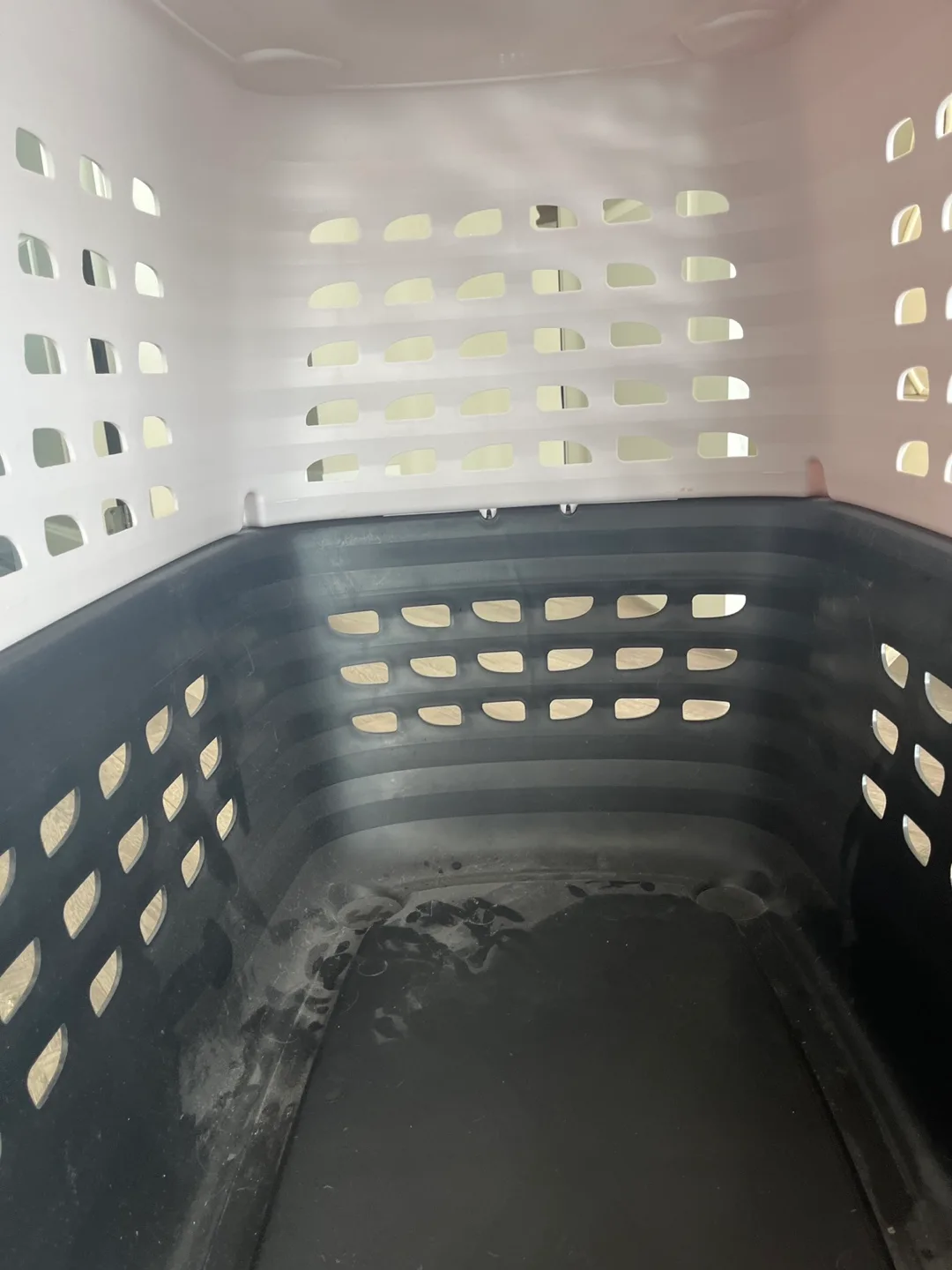 Compass Pet Carrier image indicator(6)