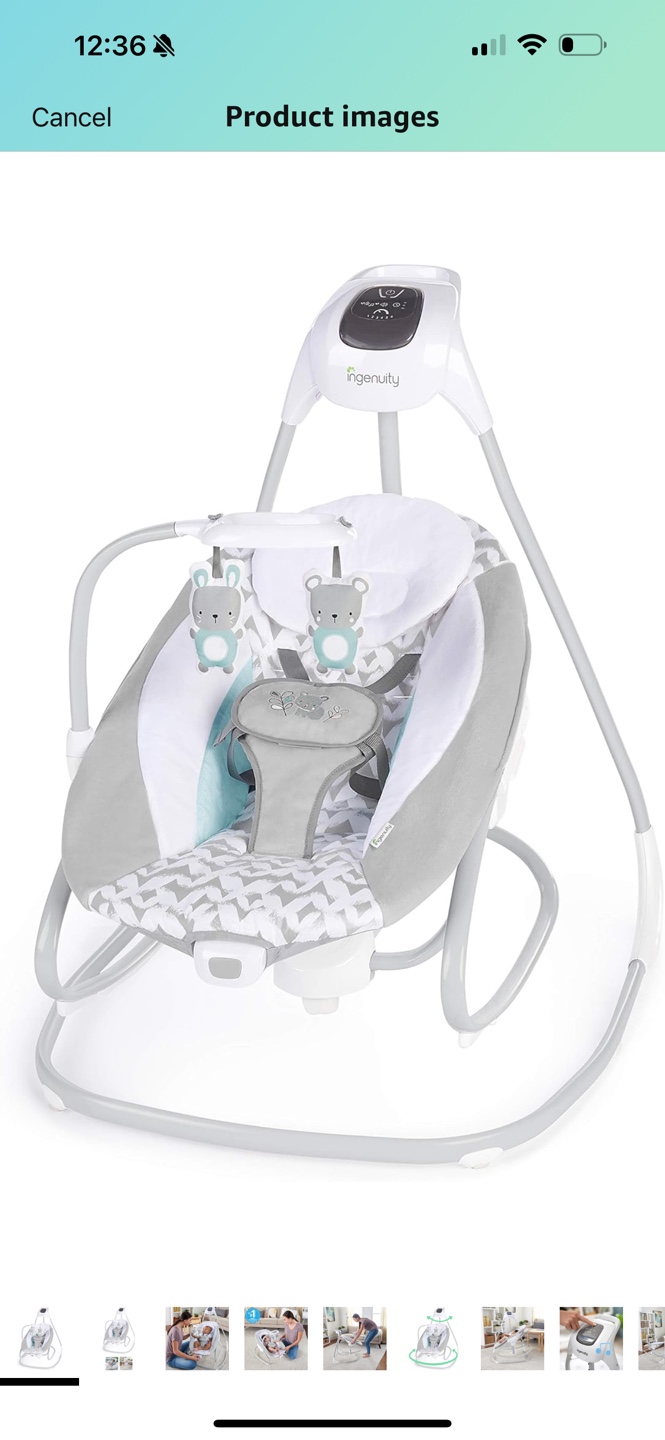 Ingenuity Baby Swing - photo 4