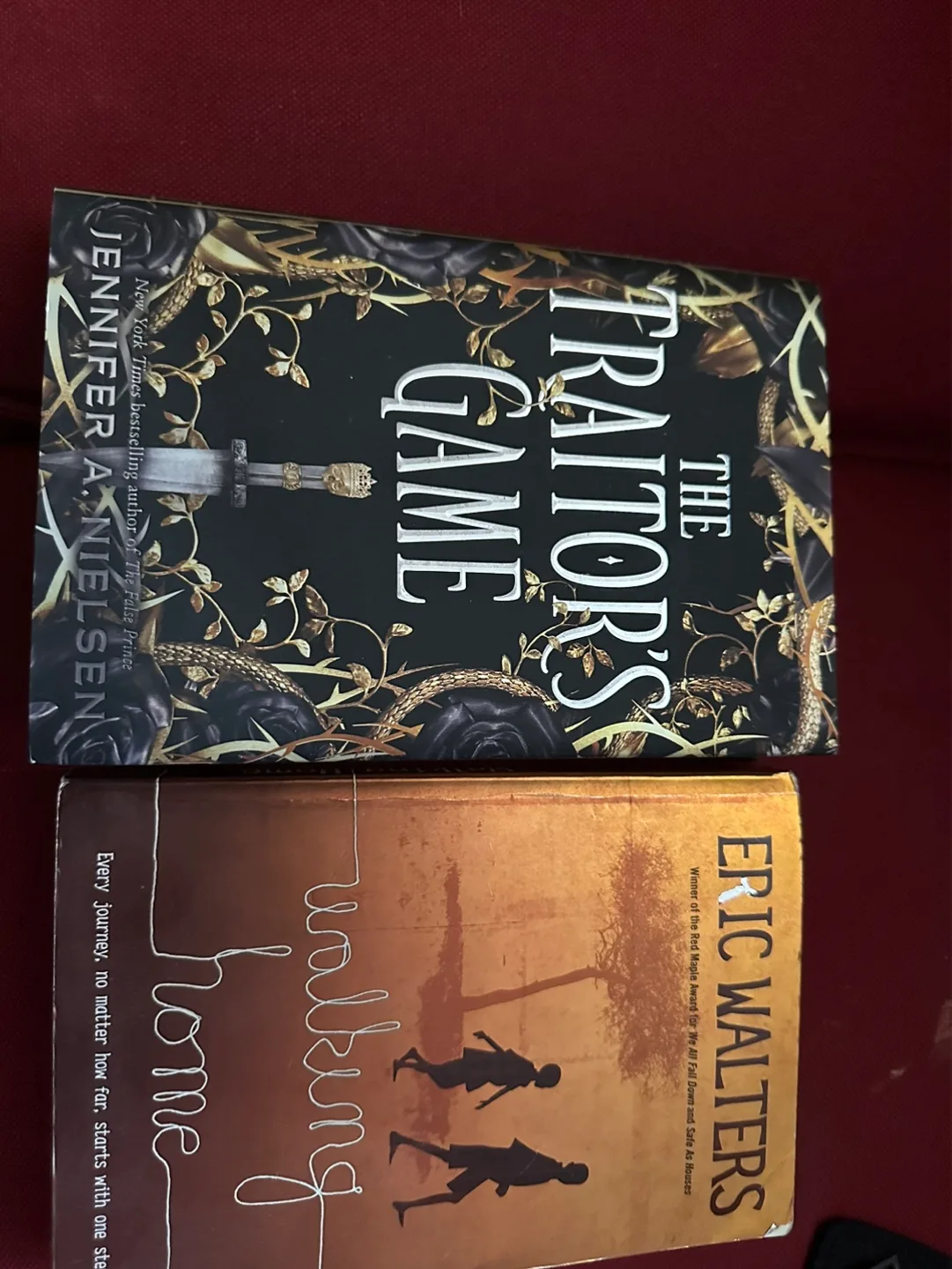 Two used books: The Traitor's Game and Walking Home image indicator(2)