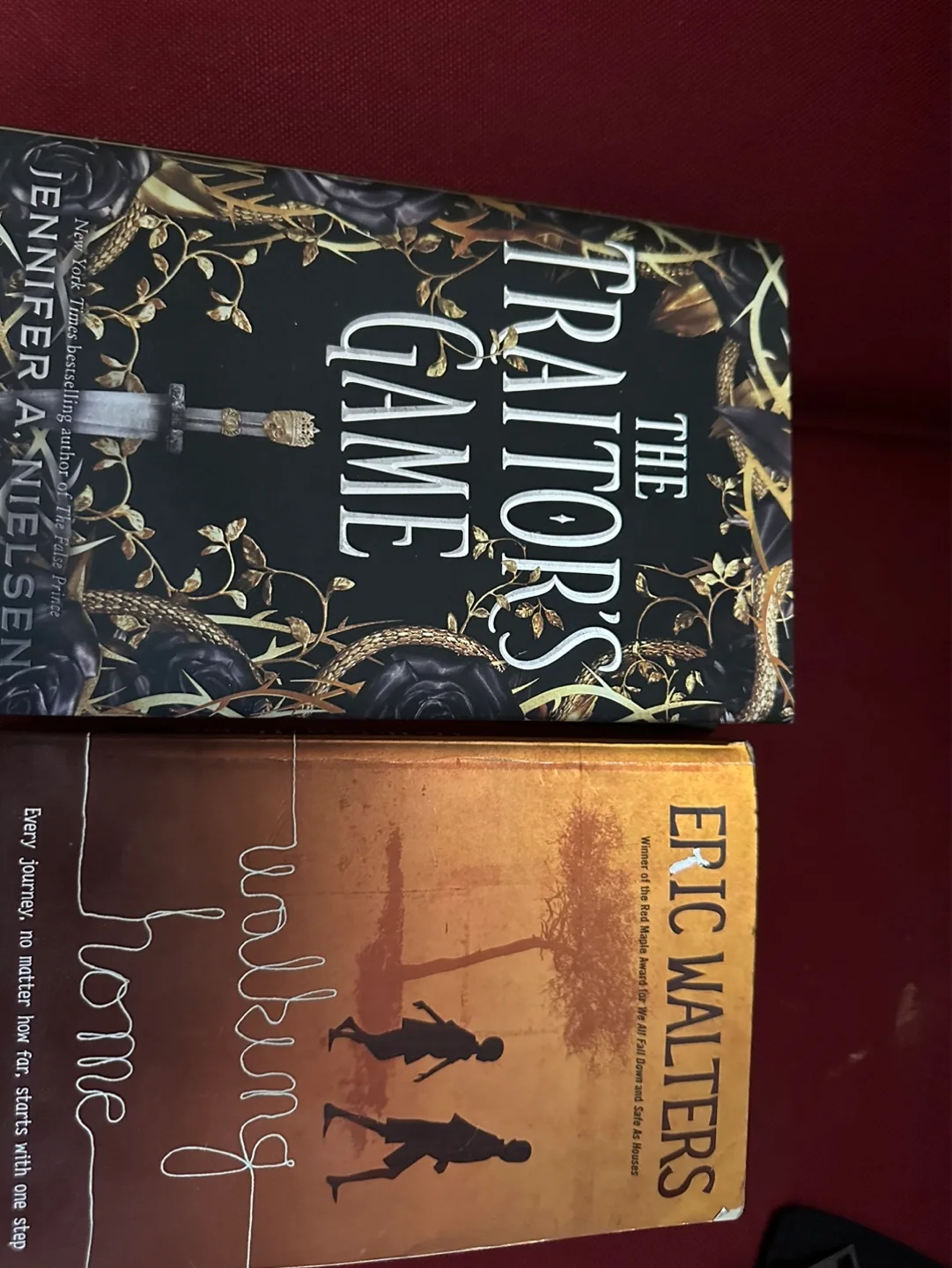 Two used books: The Traitor's Game and Walking Home image indicator(3)