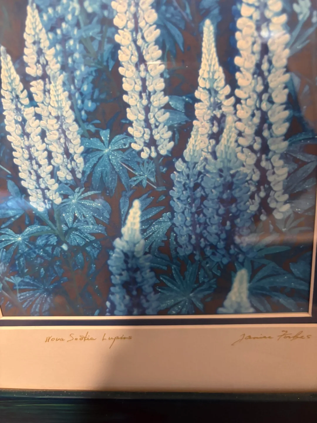 Framed Lupine Print by Jamie Forbes image indicator(2)