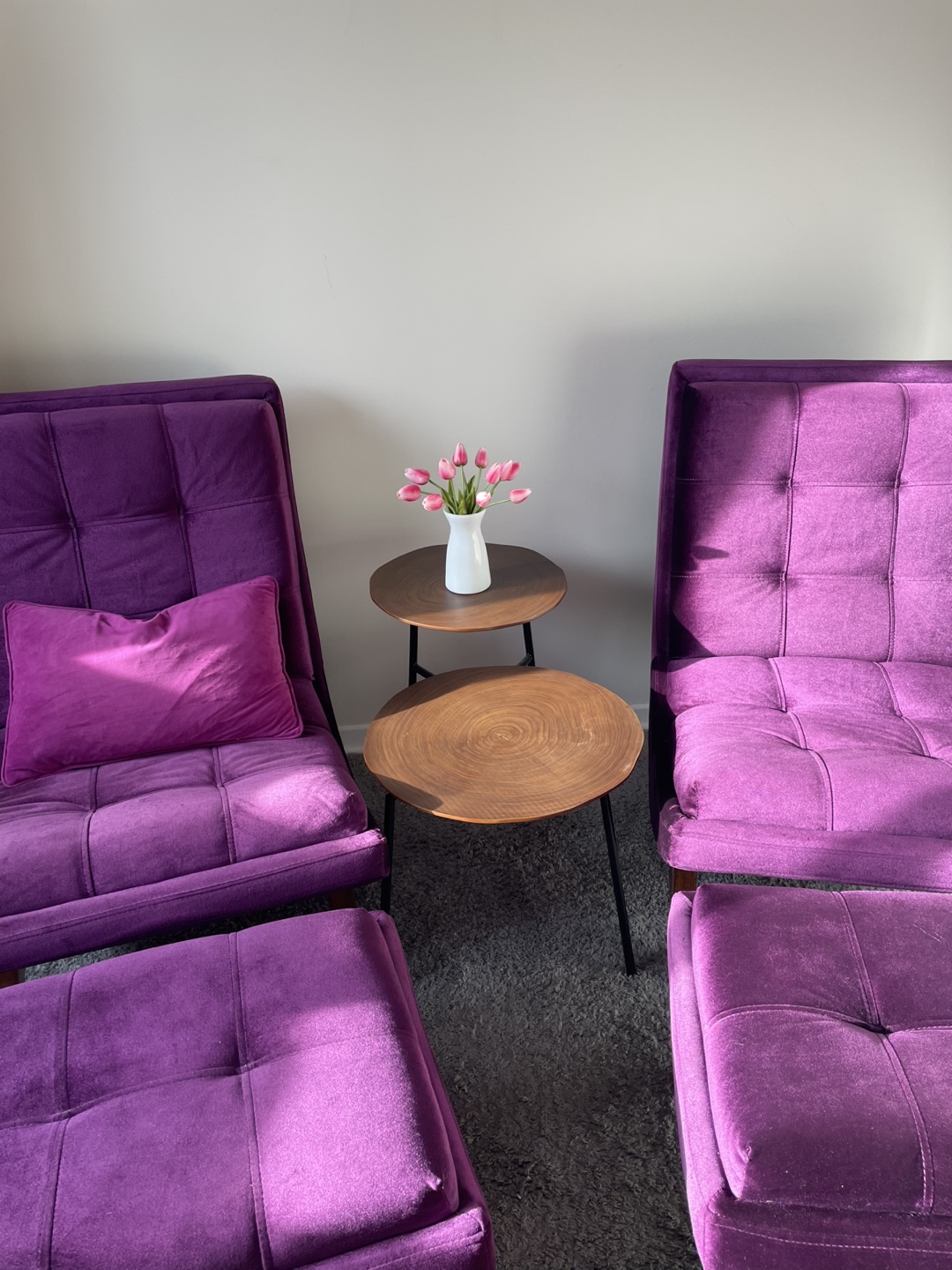 1 Velvet Chair and Ottoman