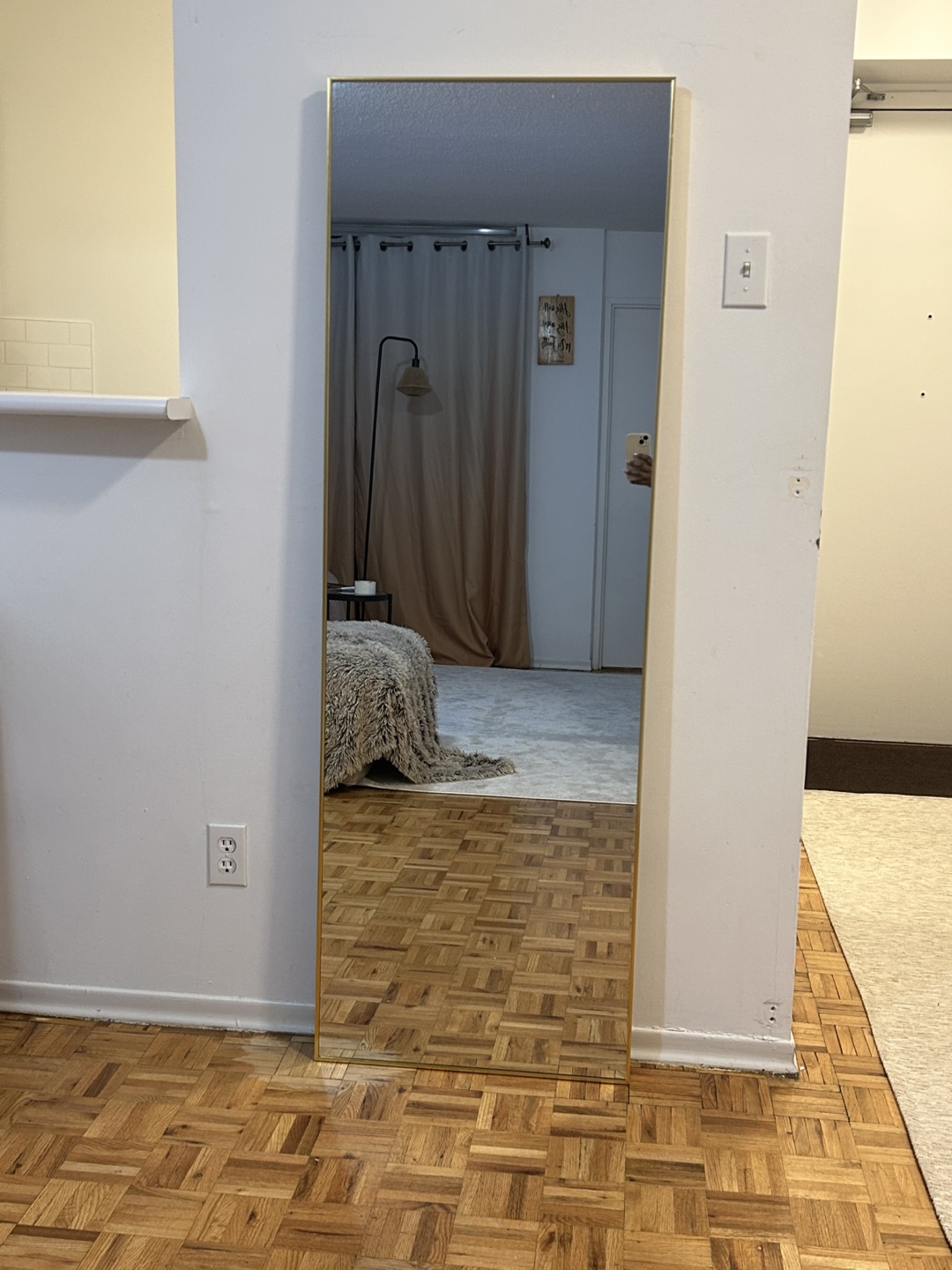 NeuType 65"x22" Gold Full Length Mirror - photo 4