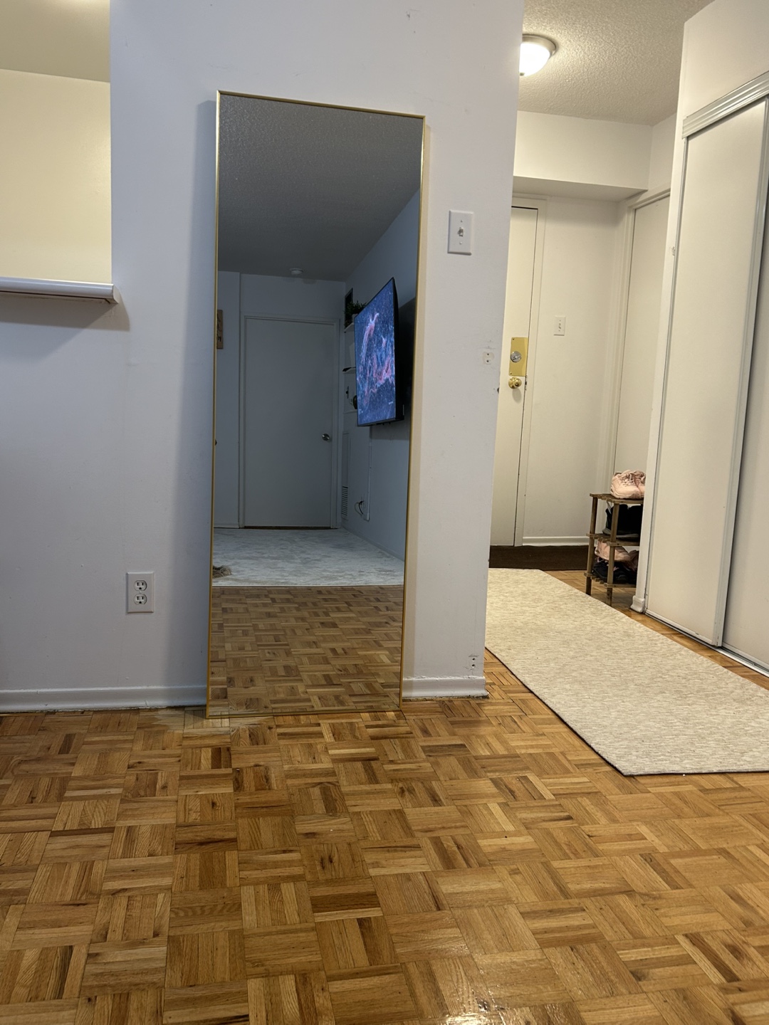 NeuType 65"x22" Gold Full Length Mirror - photo 3