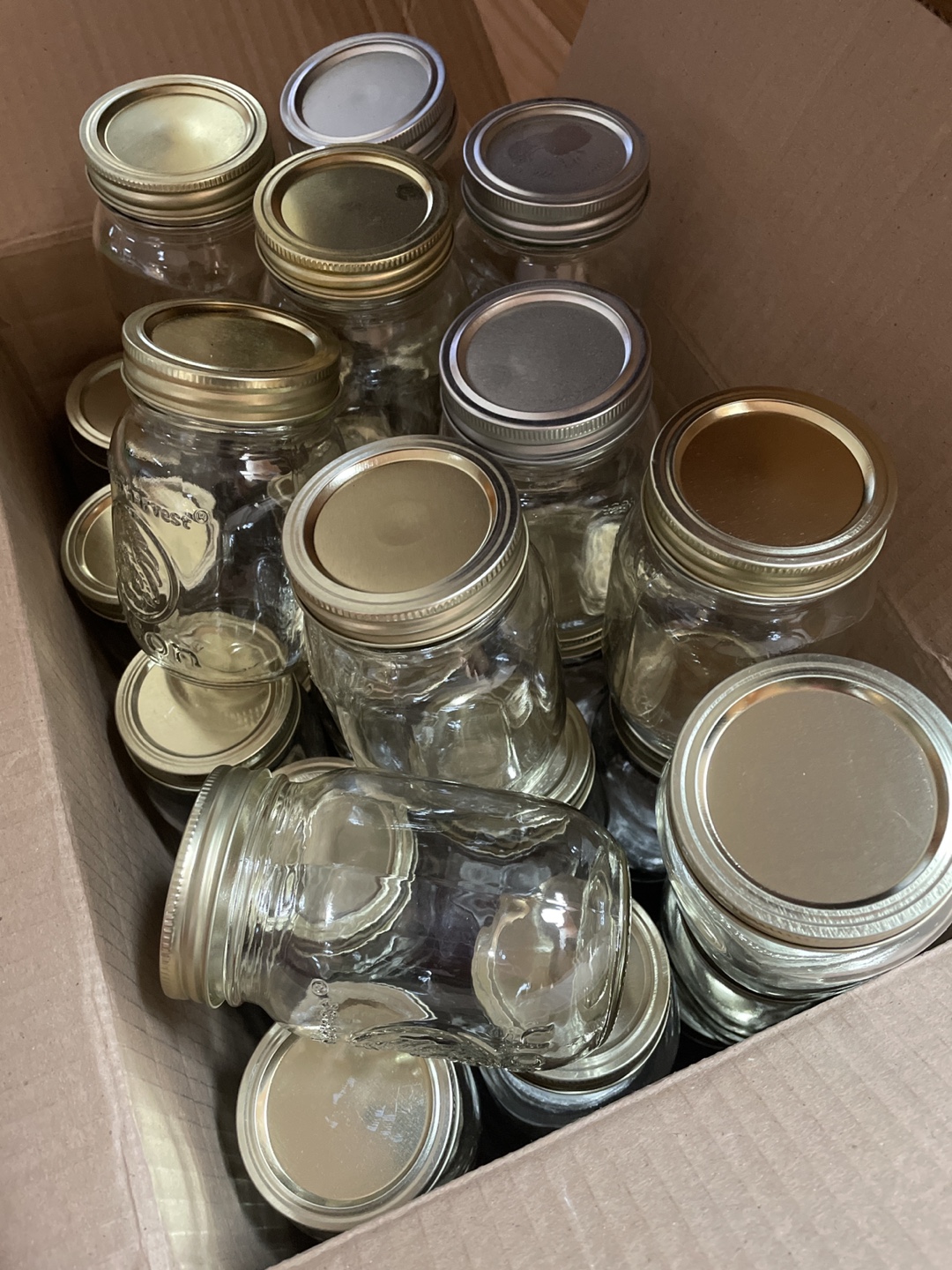 40x 500ml canning jars with lids